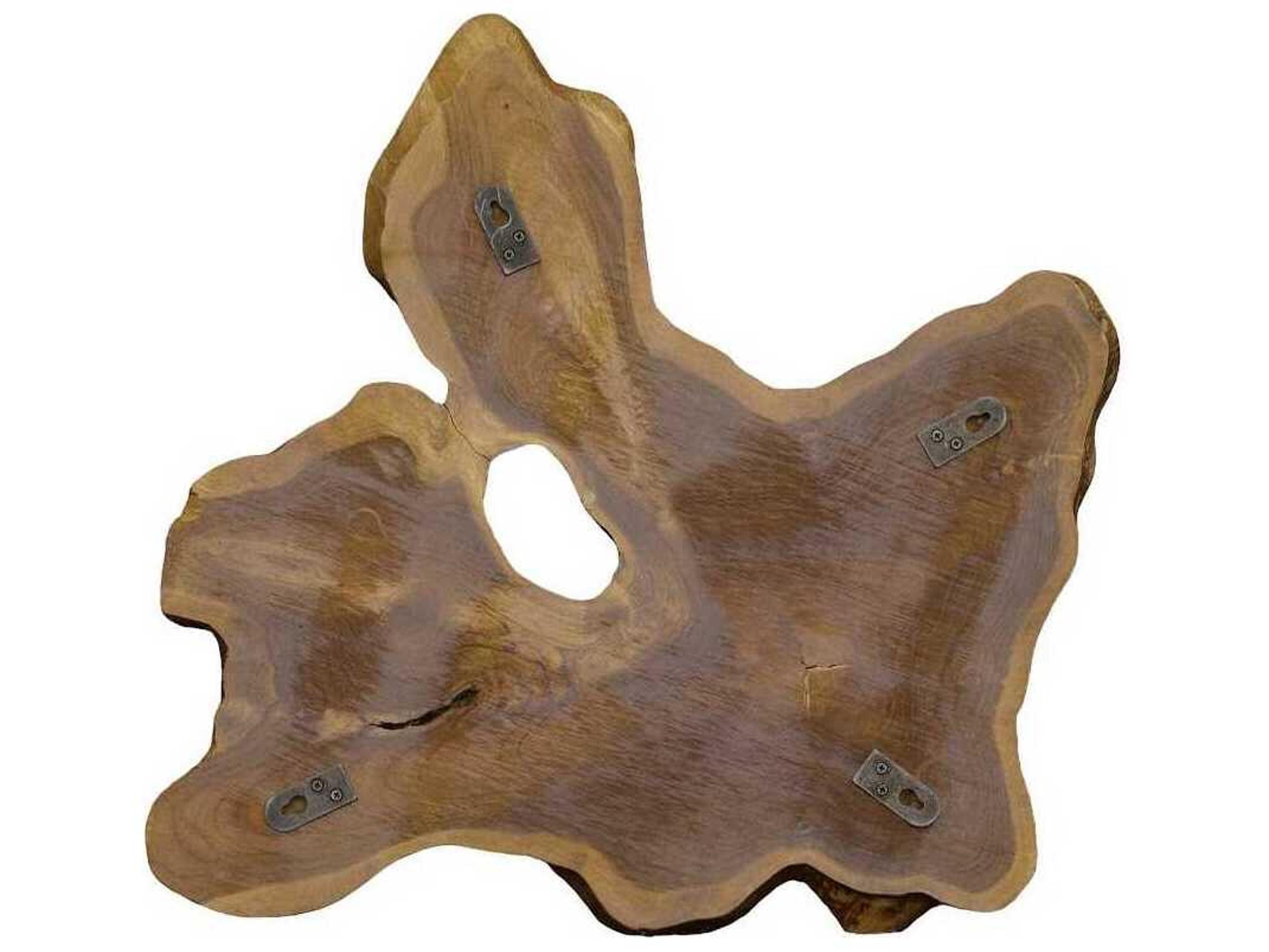 Phillips Collection Freeform Natural Teak Wall Slice