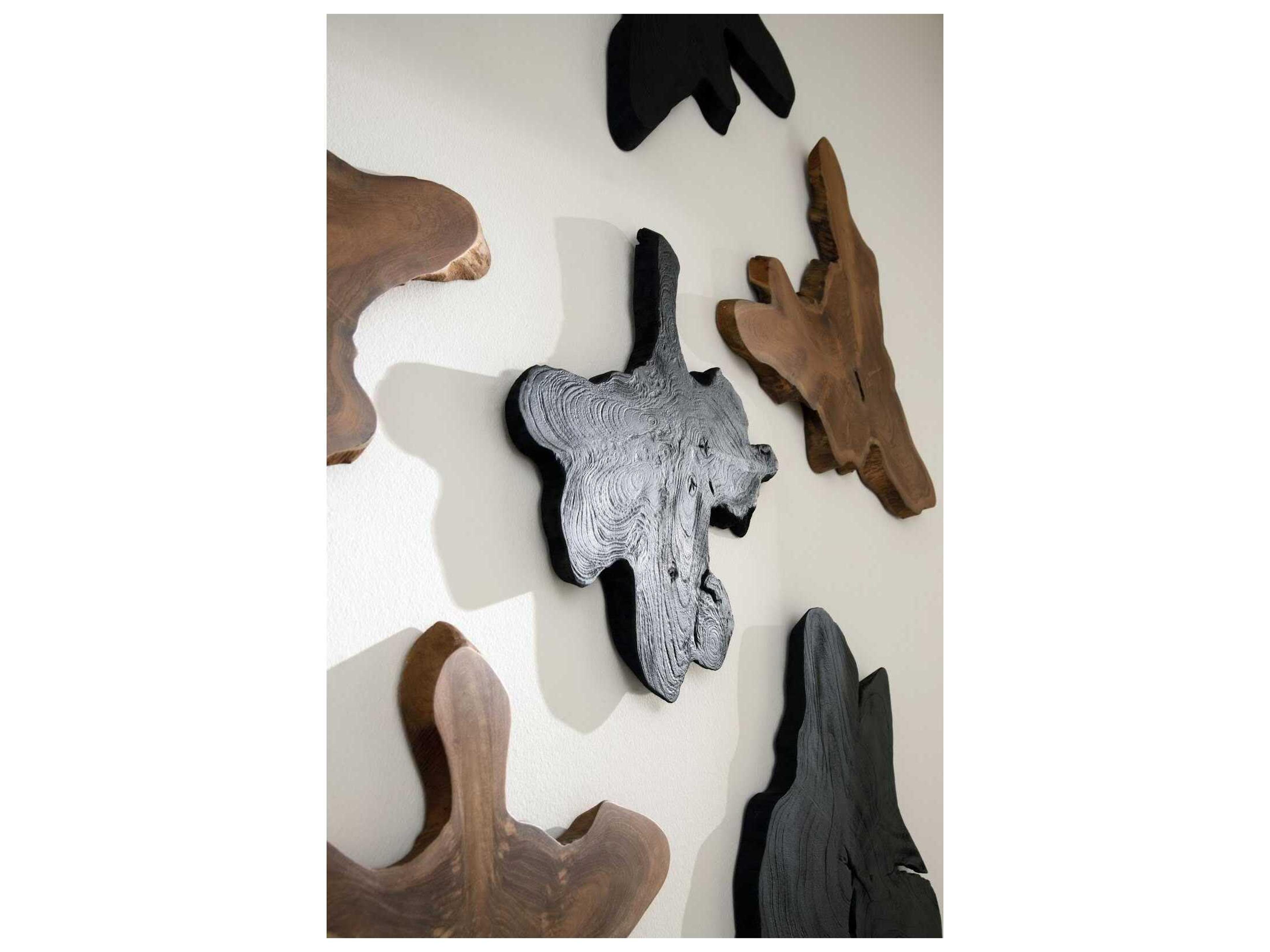 Phillips Collection Freeform Black Teak Wall Slice