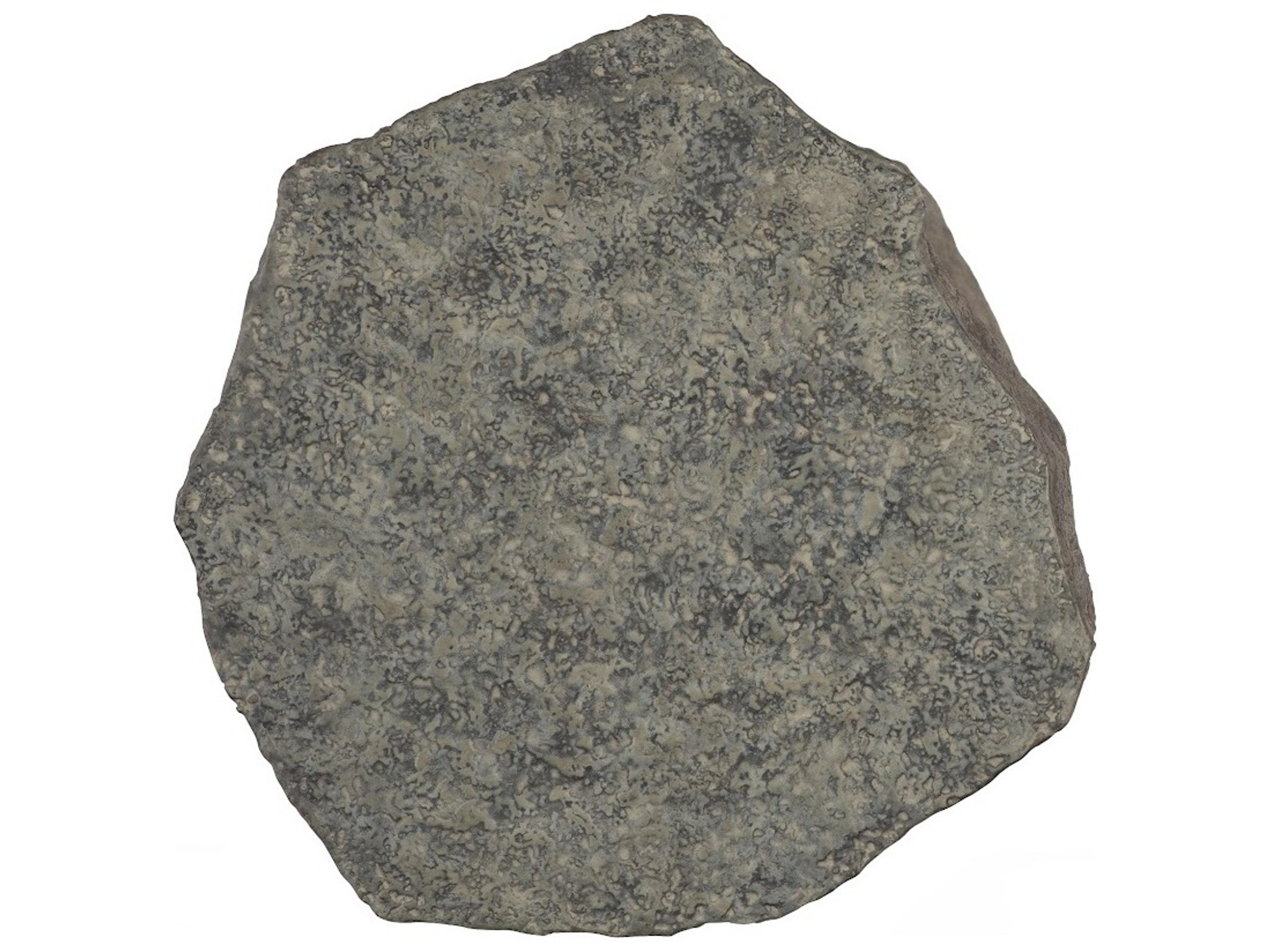 Phillips Collection Gray Decorative Accent