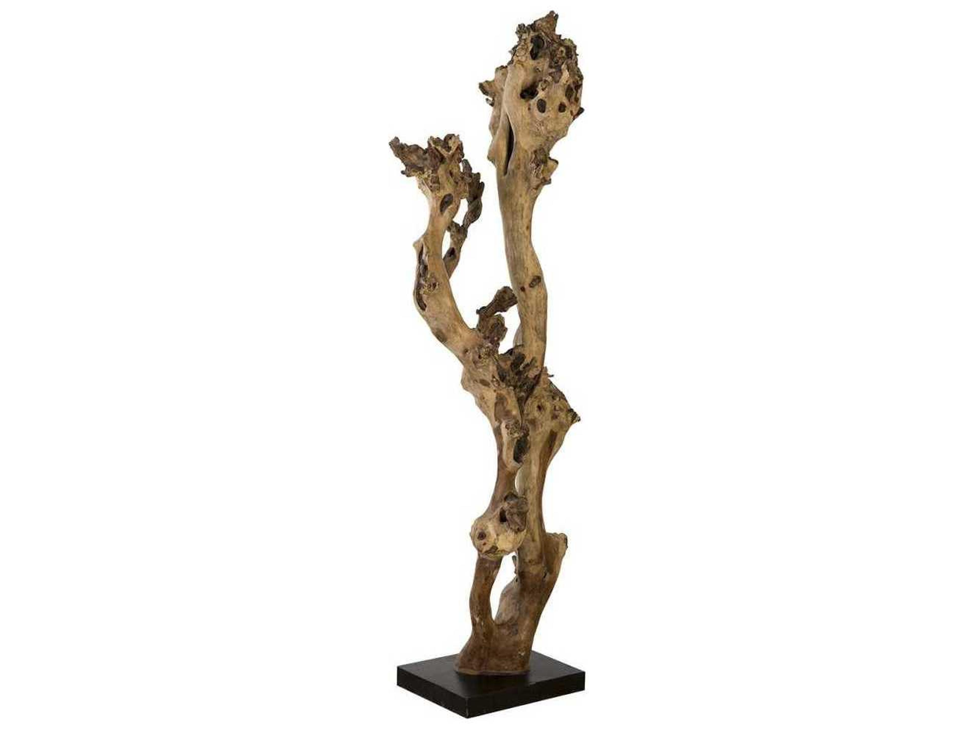 Phillips Collection Natural Sculpture