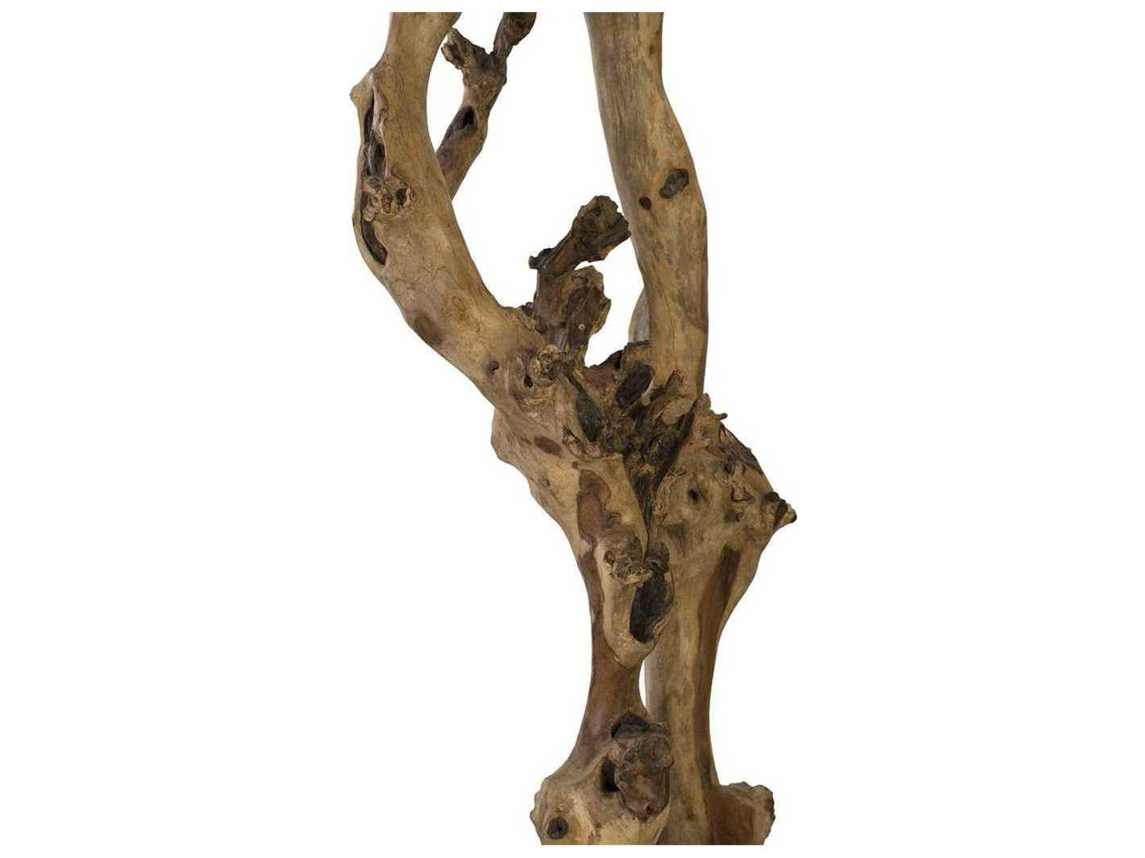 Phillips Collection Natural Sculpture