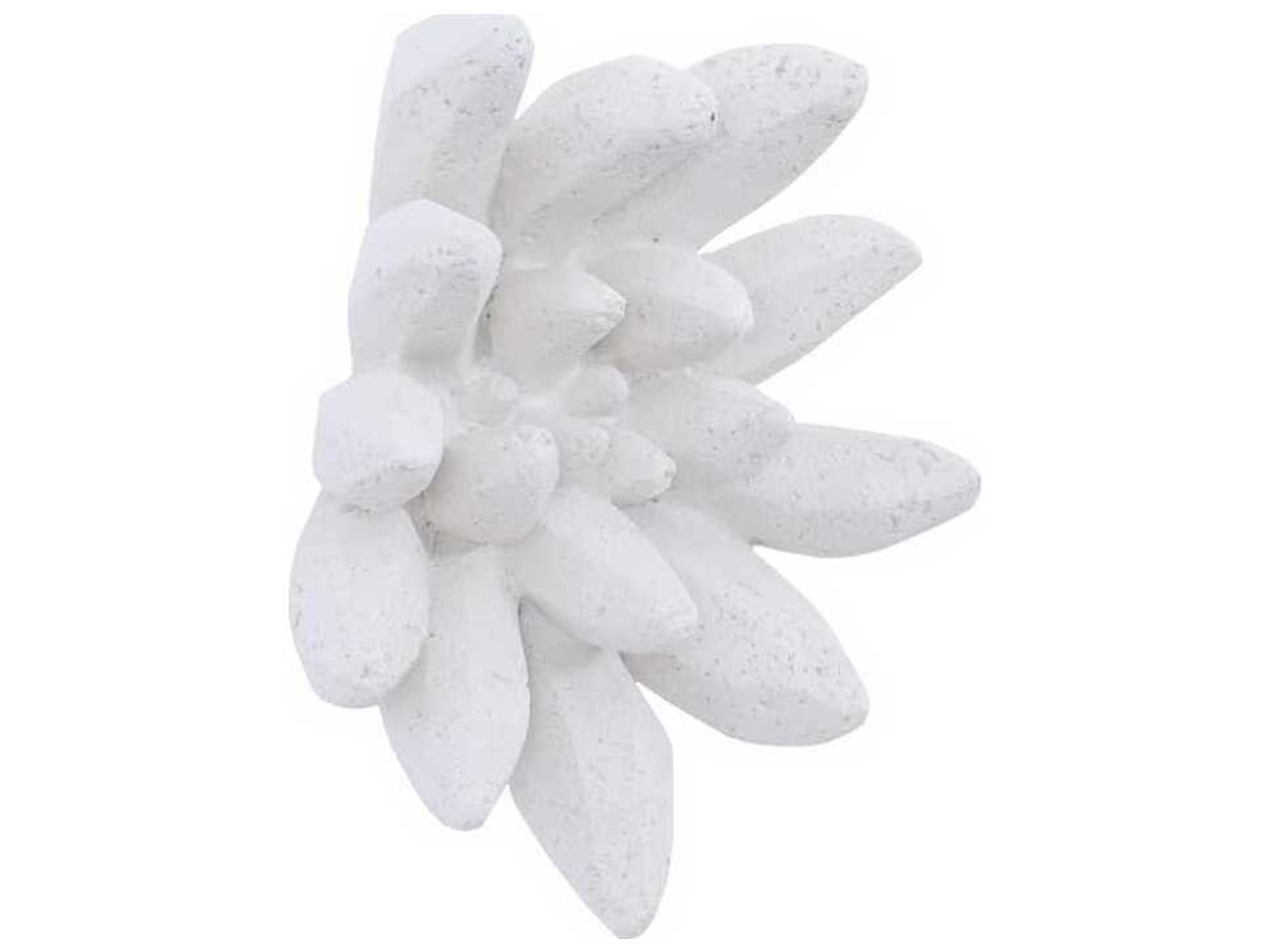 Phillips Collection Compactum Succulent White Stone 3D Wall Art