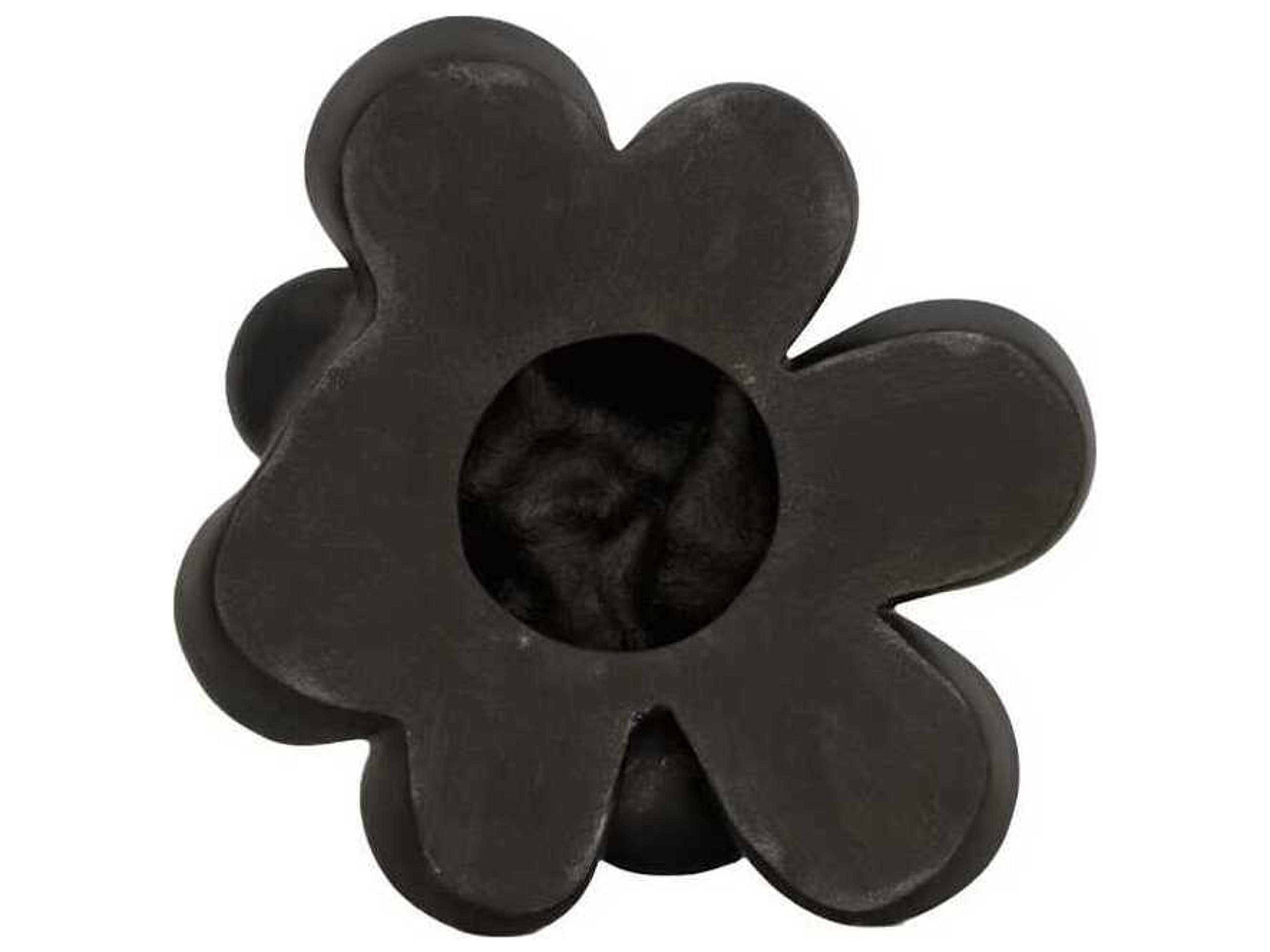 Phillips Collection Botanical Designs Oviferum Succulent Wall Art