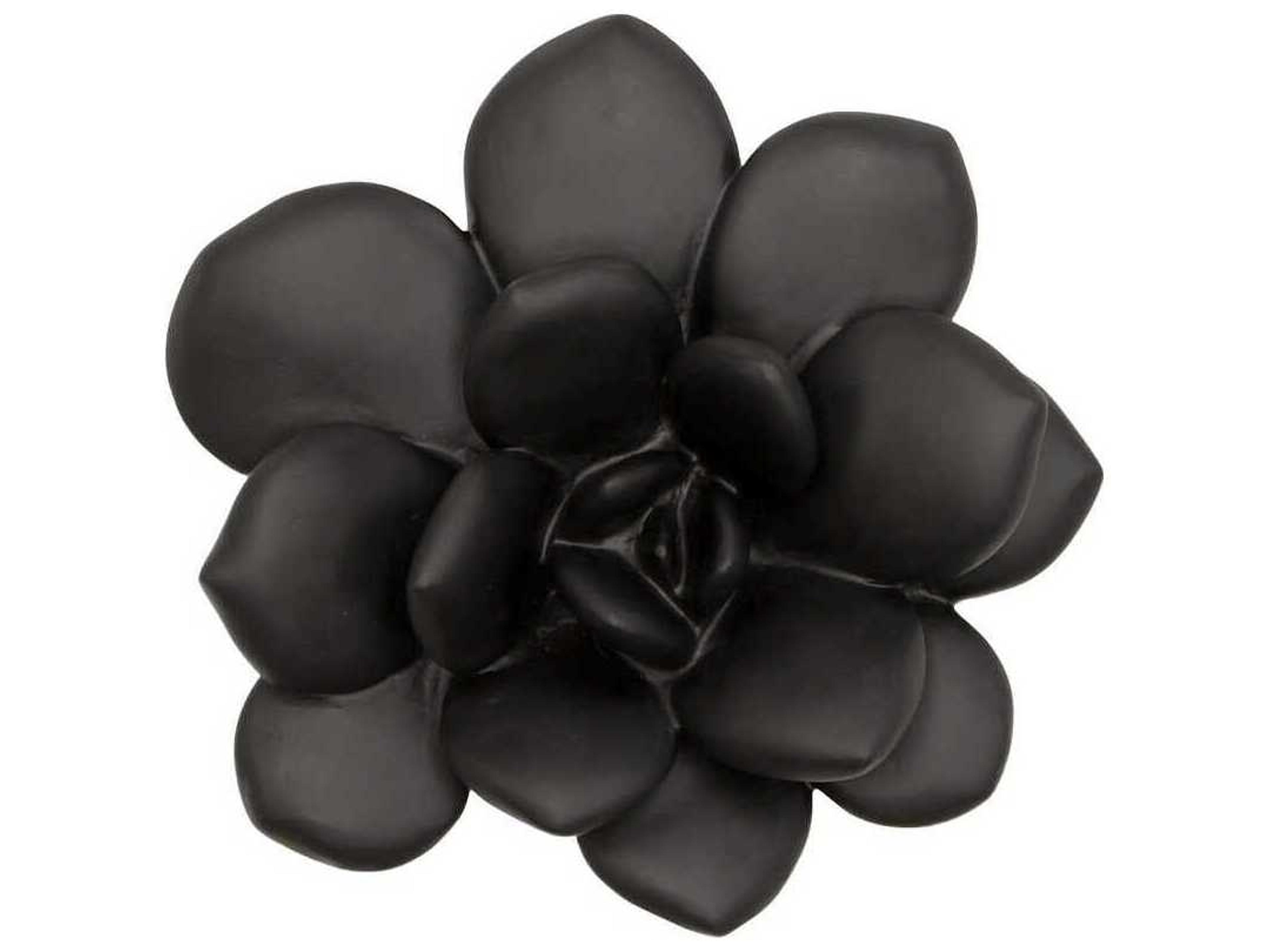 Botanical Designs Laui Succulent Wall Art