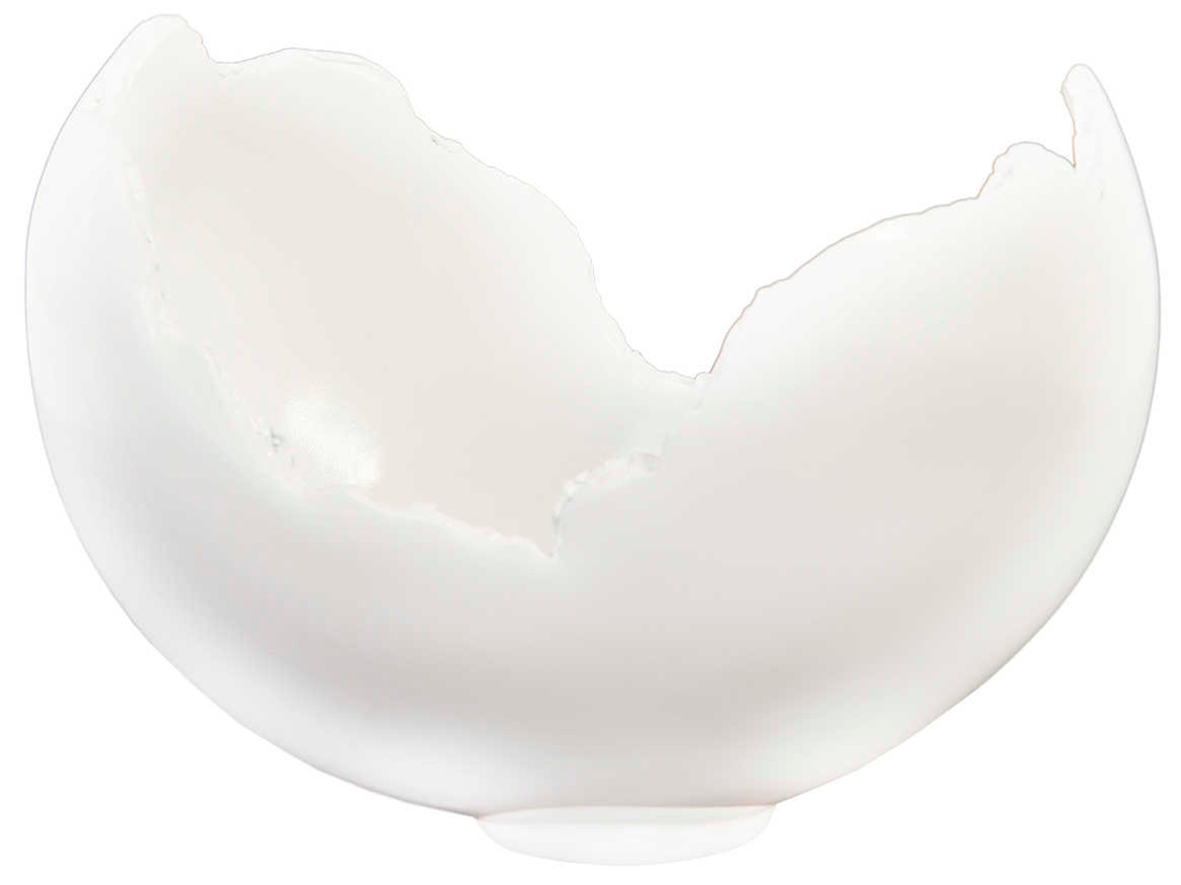 Phillips Collection Cast Naturals Glossy Lacquer Decorative Burled Bowl