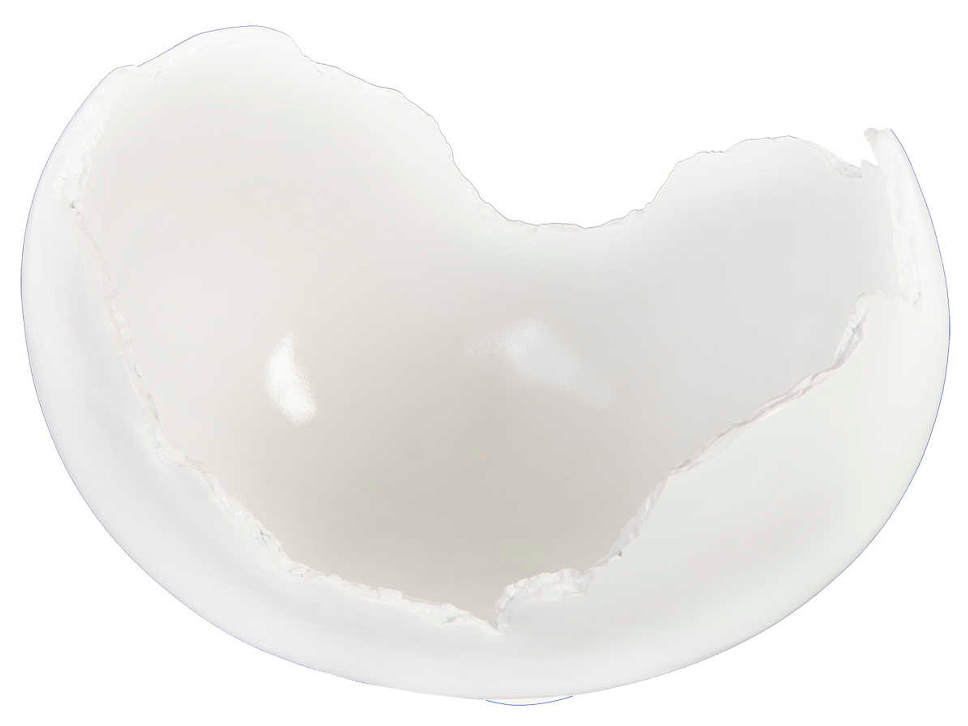 Phillips Collection Cast Naturals Glossy Lacquer Decorative Burled Bowl