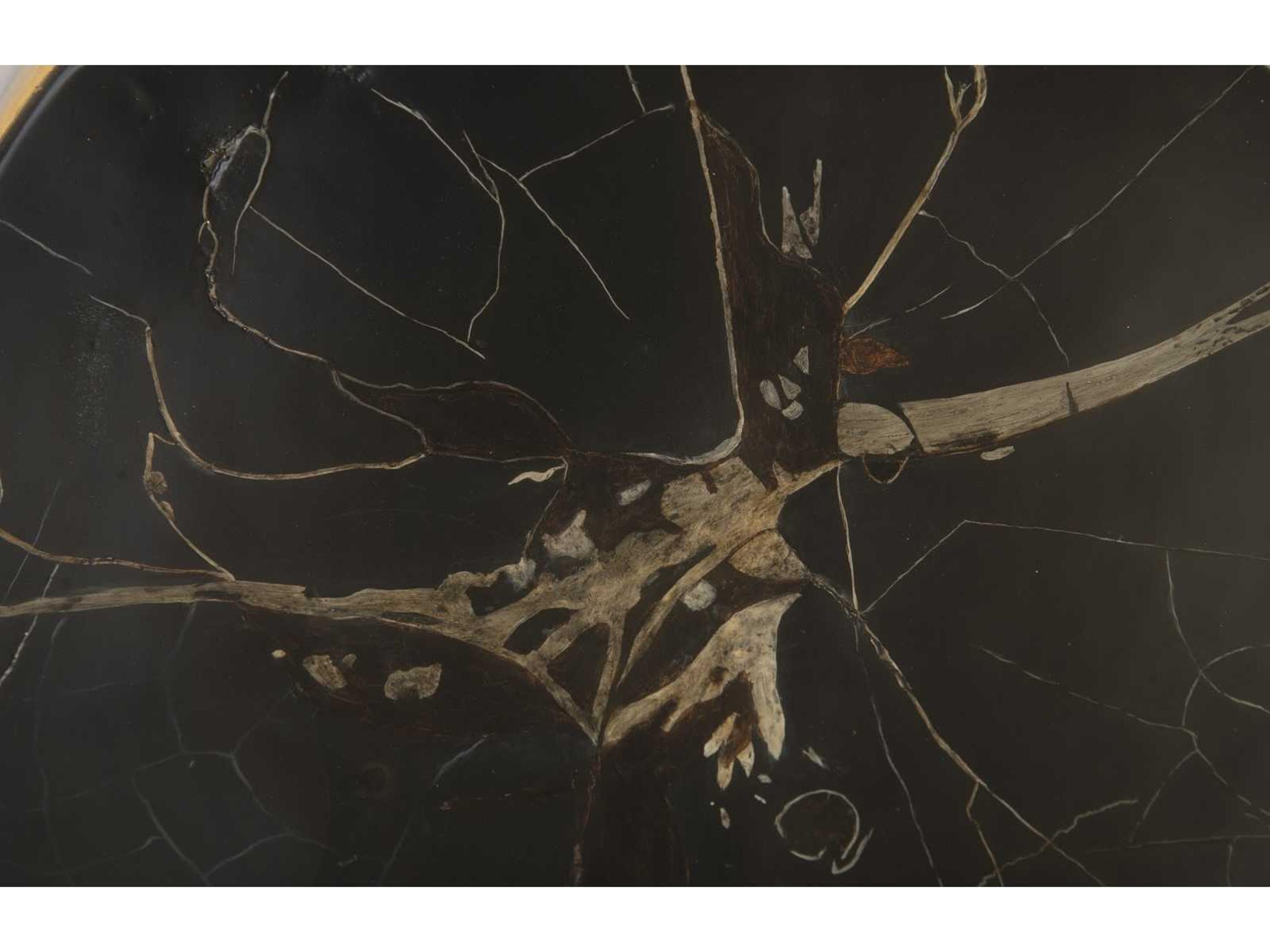 Phillips Collection Brown / Black Cast Petrified Wood Wall Tile