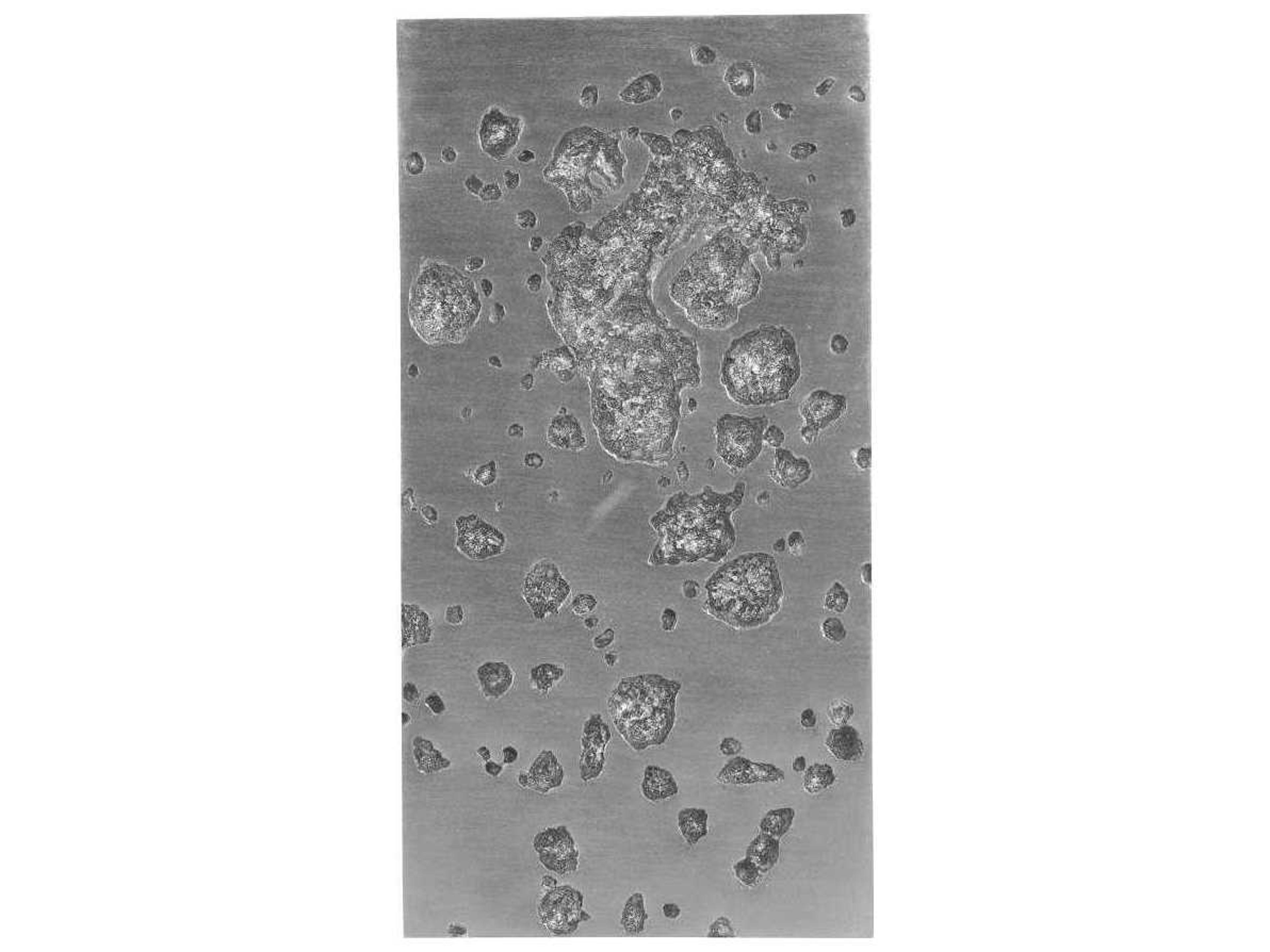 Phillips Collection Metal Wall Art