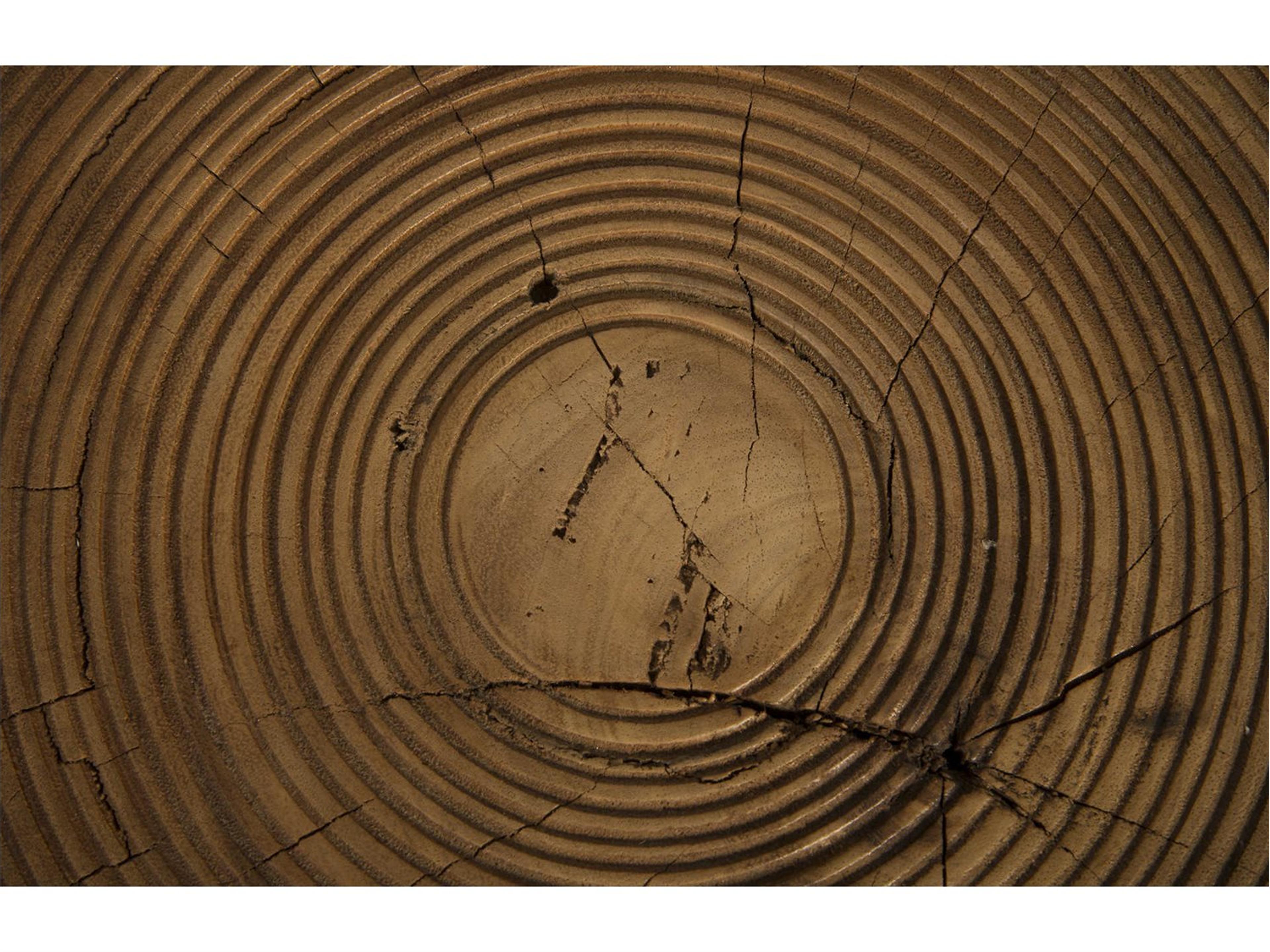 Phillips Collection Round Wood Natural End Table