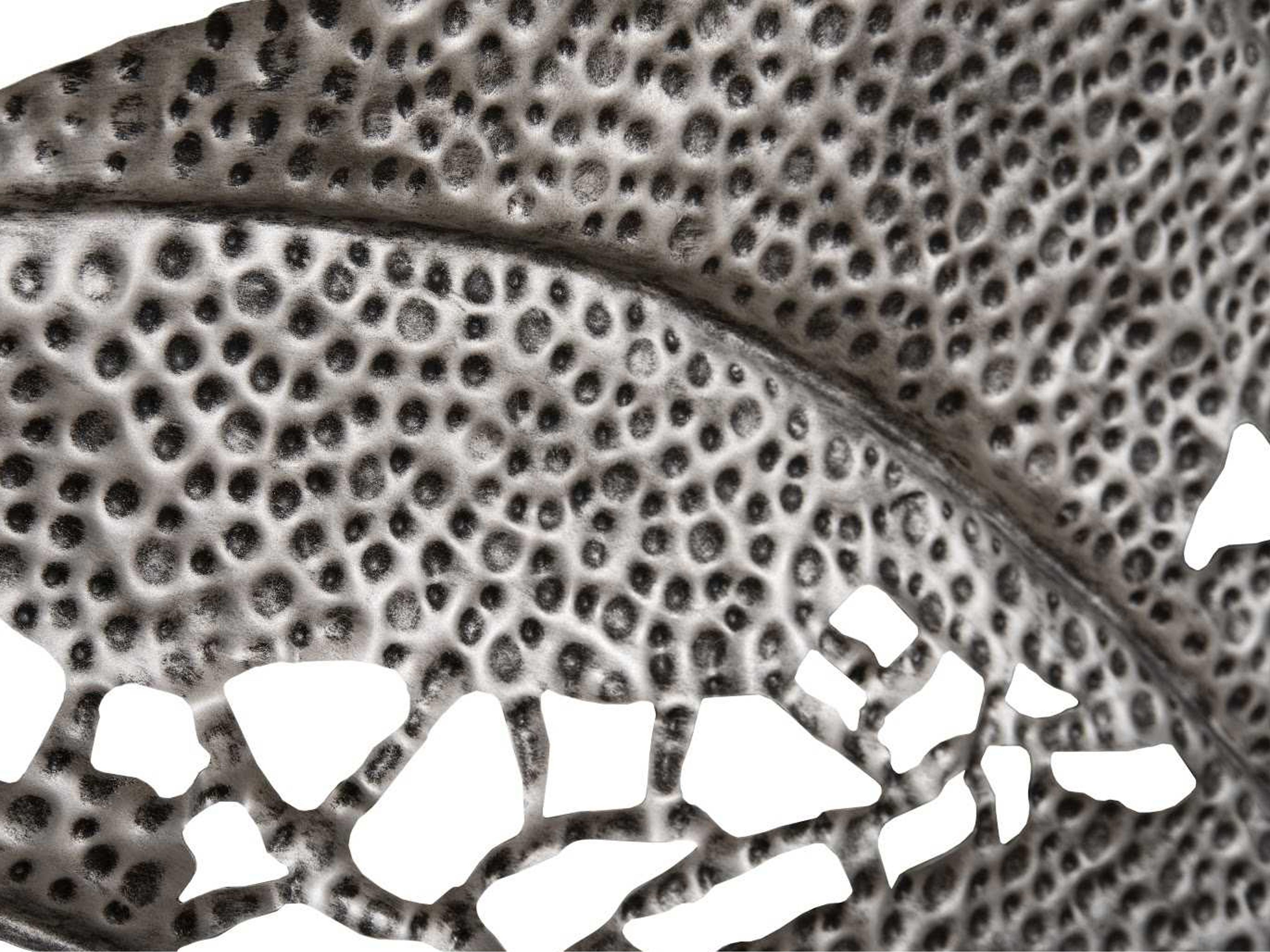 Phillips Collection Silver Matte Lacquer 67" Birch Leaf Metal Wall Art