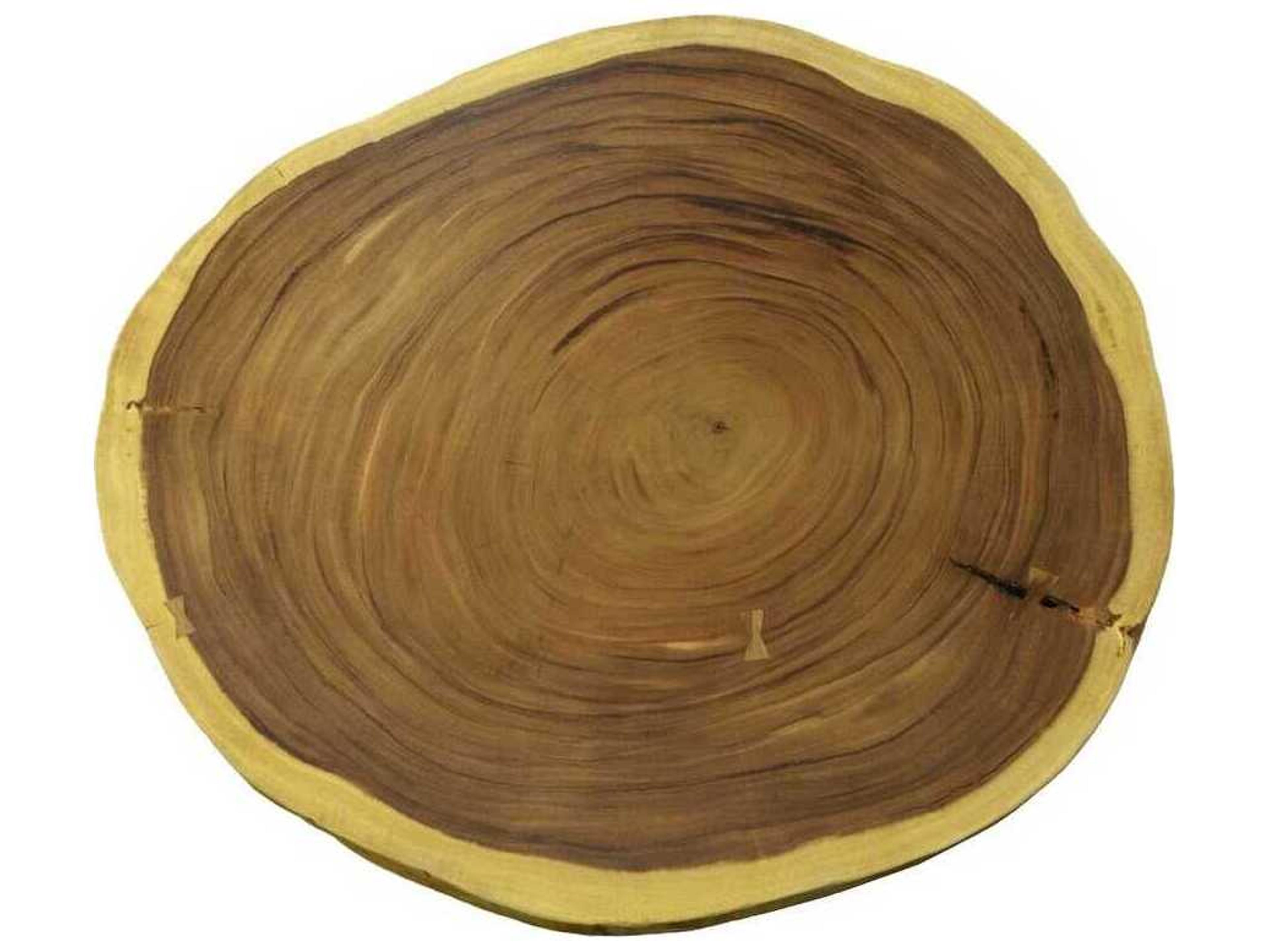 Phillips Collection Floating Wood Natural Brown Coffee Table