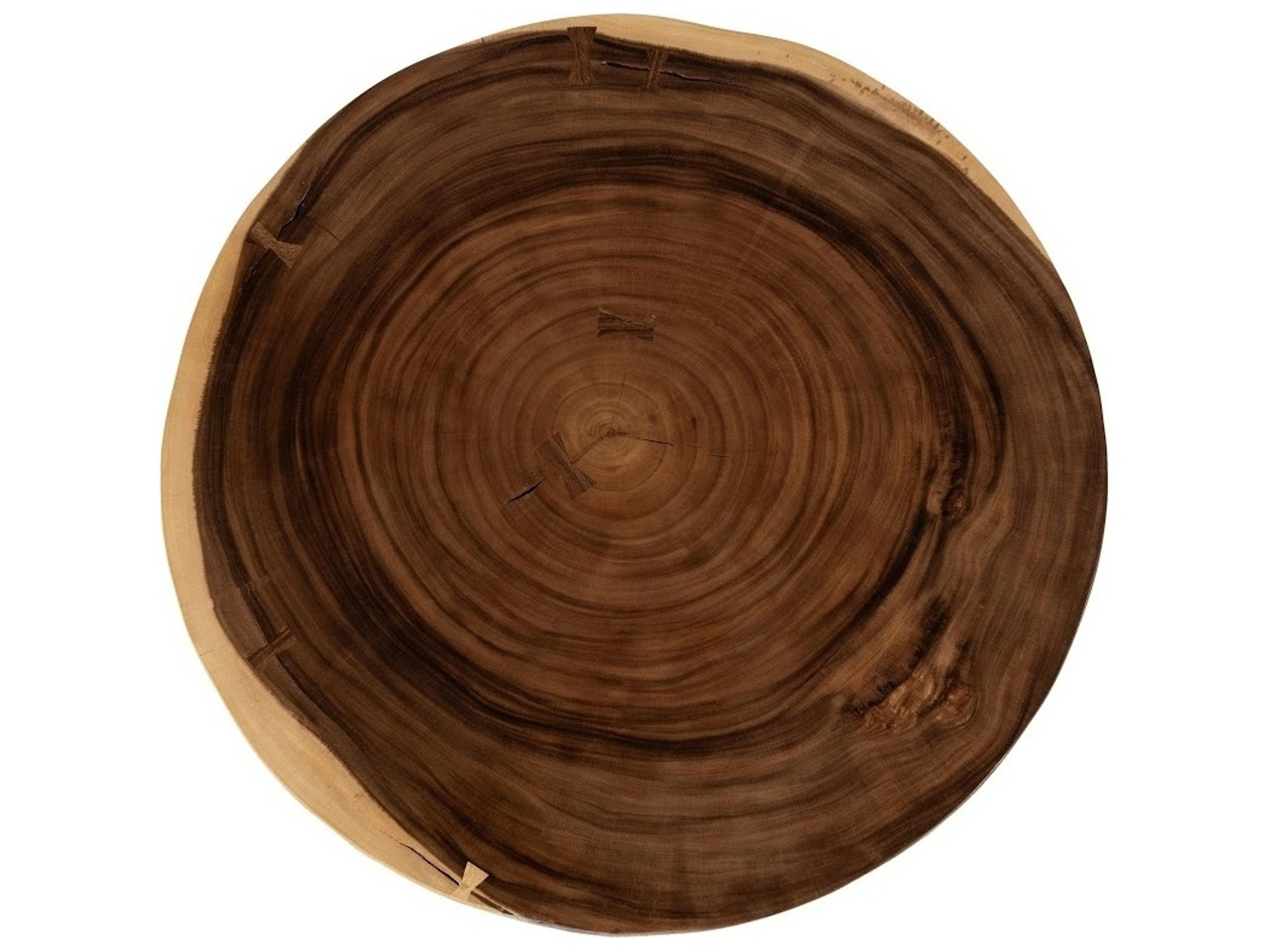 Phillips Collection Round Wood Brown Natural Coffee Table