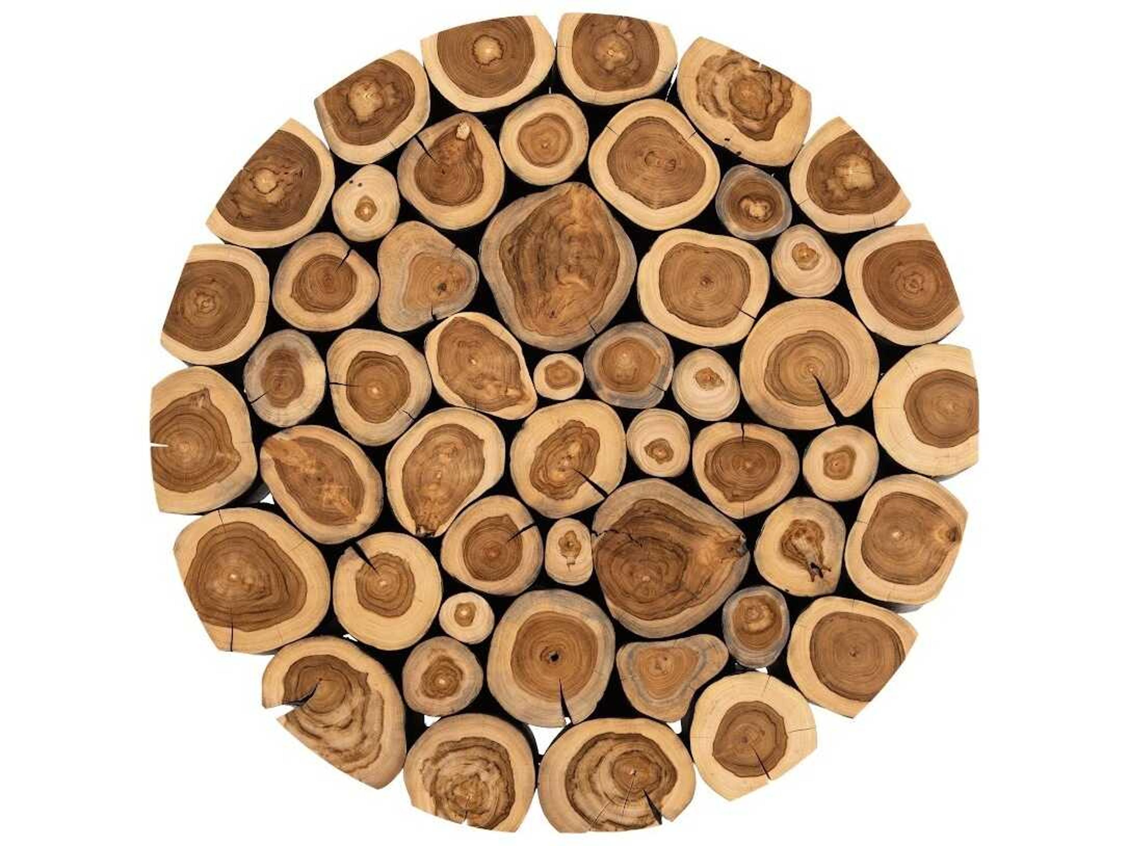 Phillips Collection Round Wood Natural Charred Coffee Table