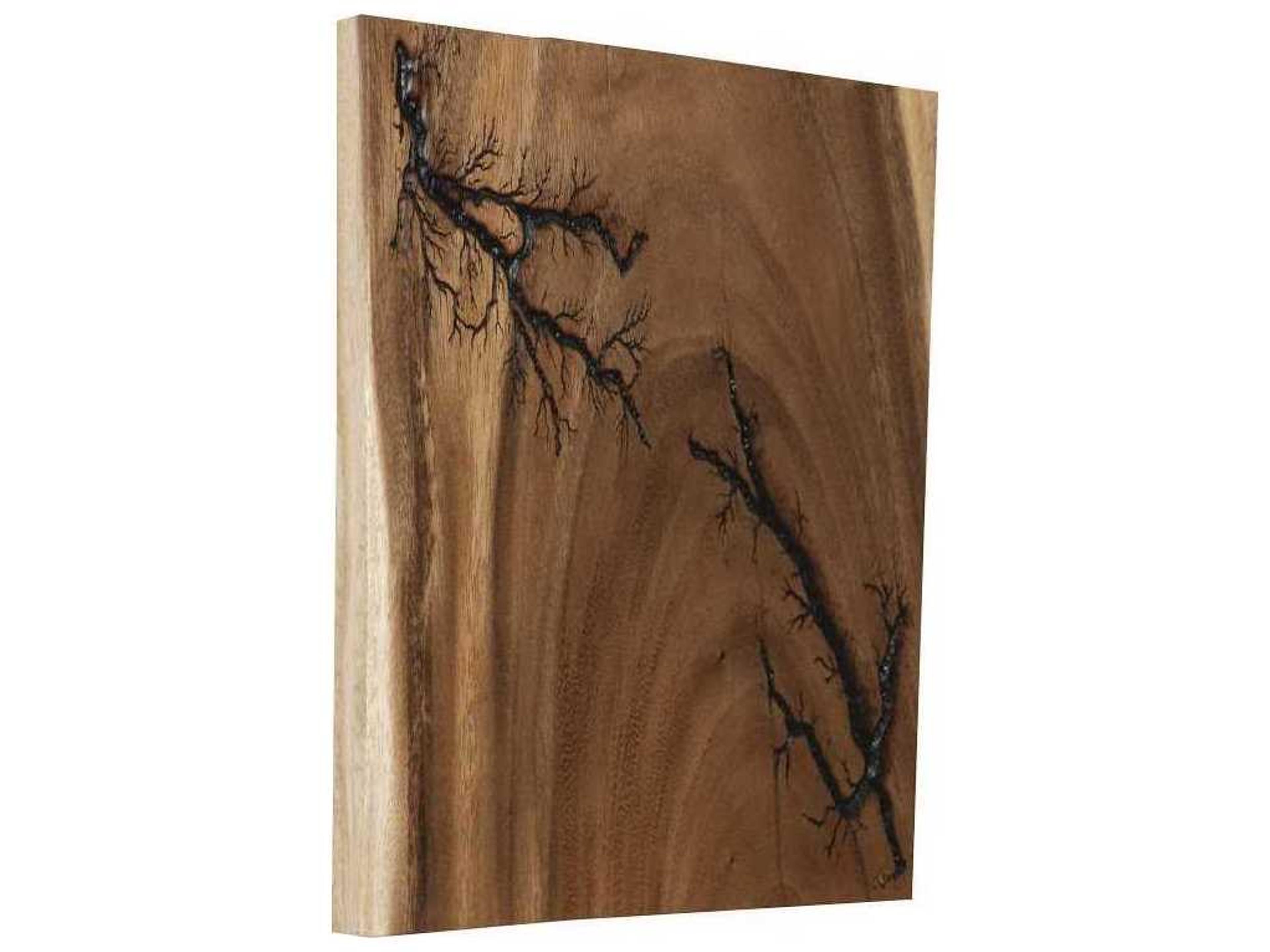 Phillips Collection Lightning Wood Wall Art
