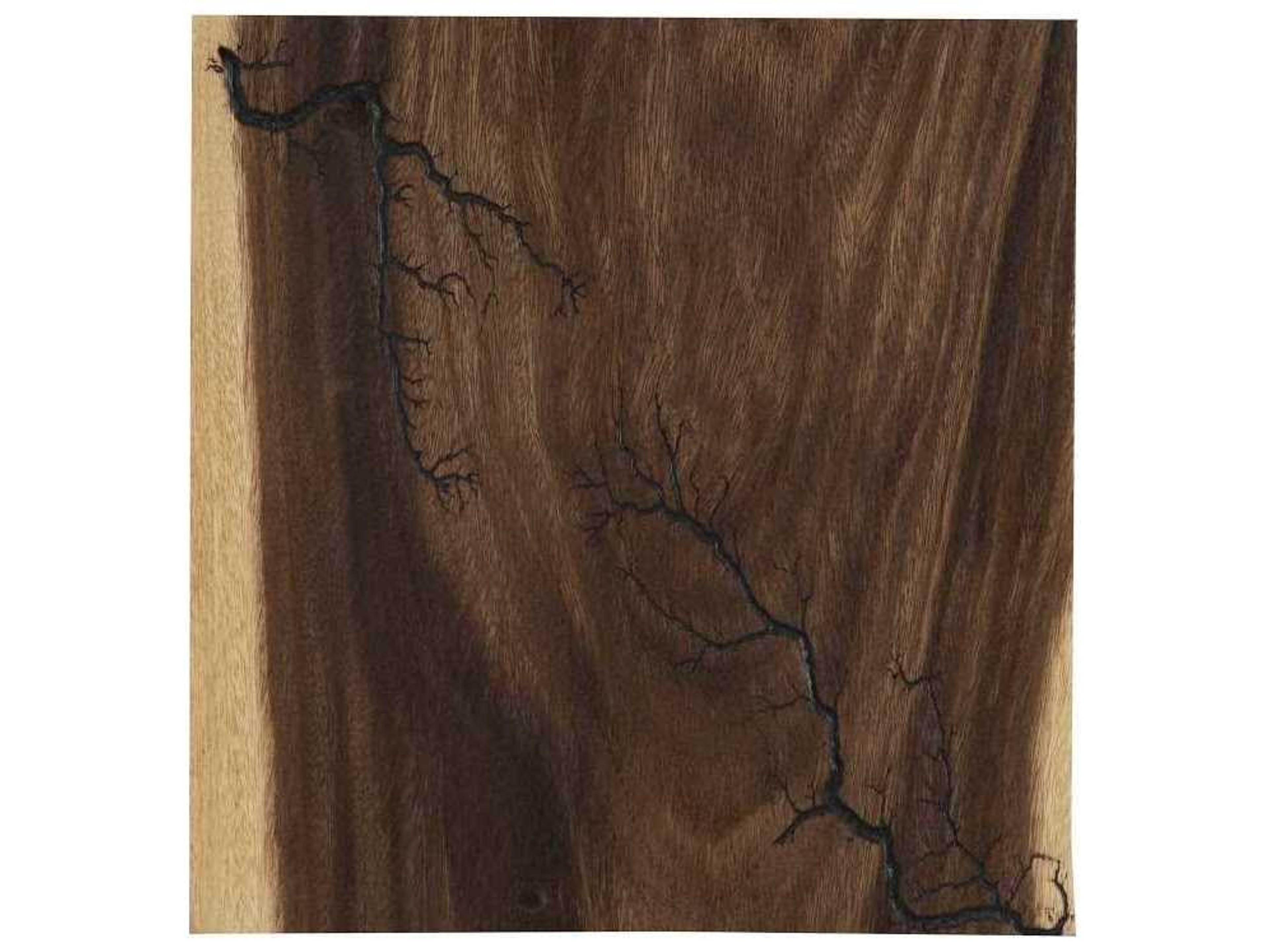 Phillips Collection Lightning Wood Wall Art