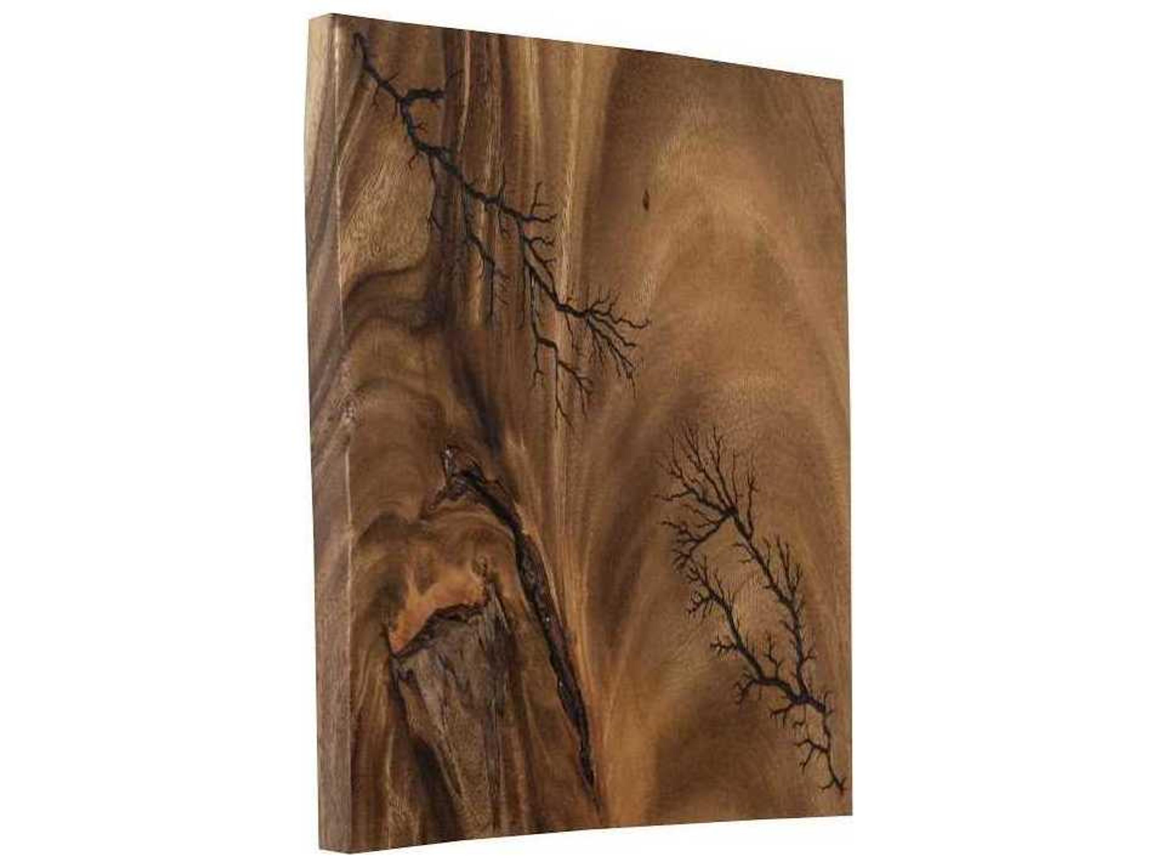 Phillips Collection Lightning Wood Wall Art