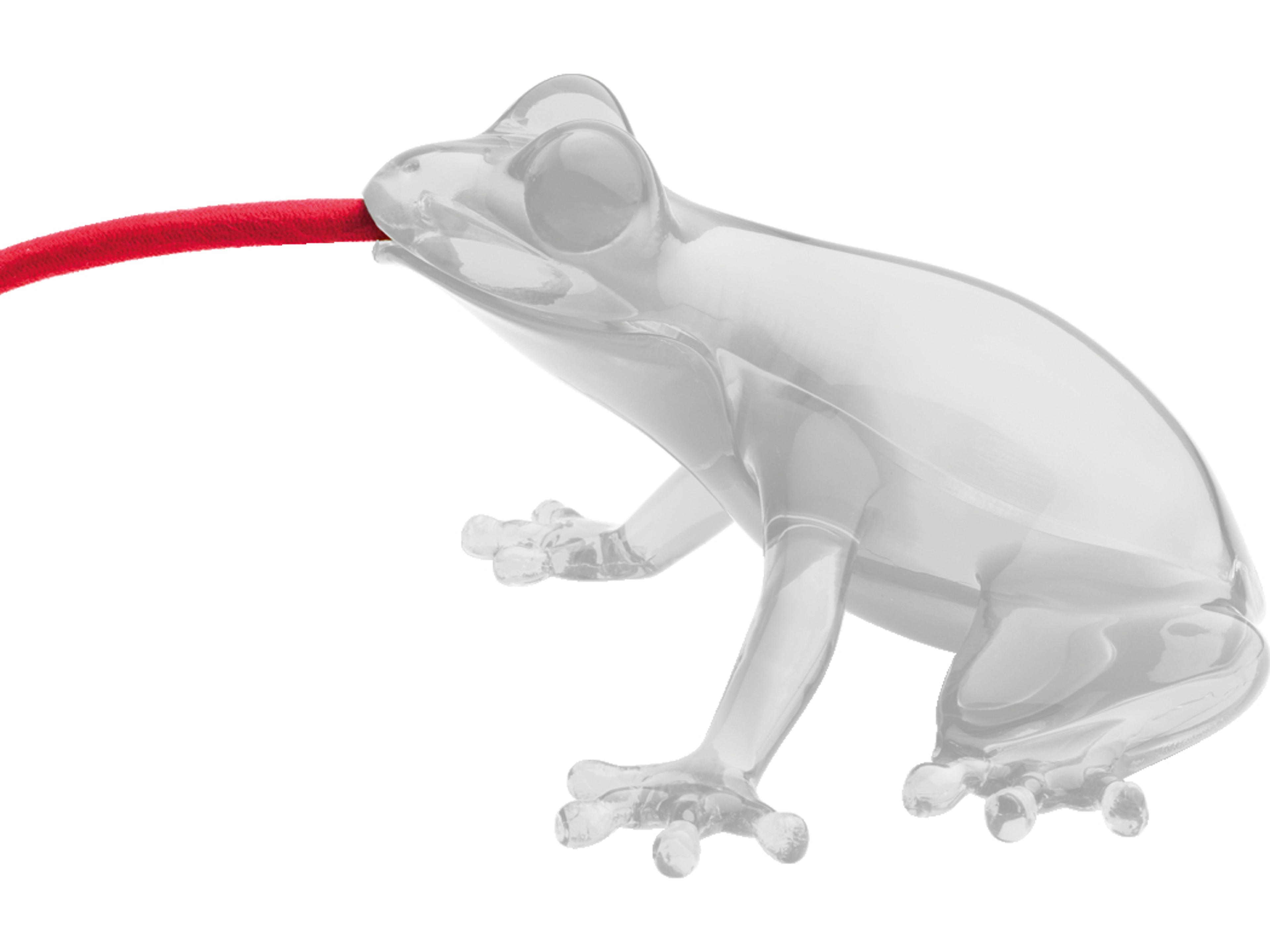 Hungry Frog Opal Clear Table Lamp