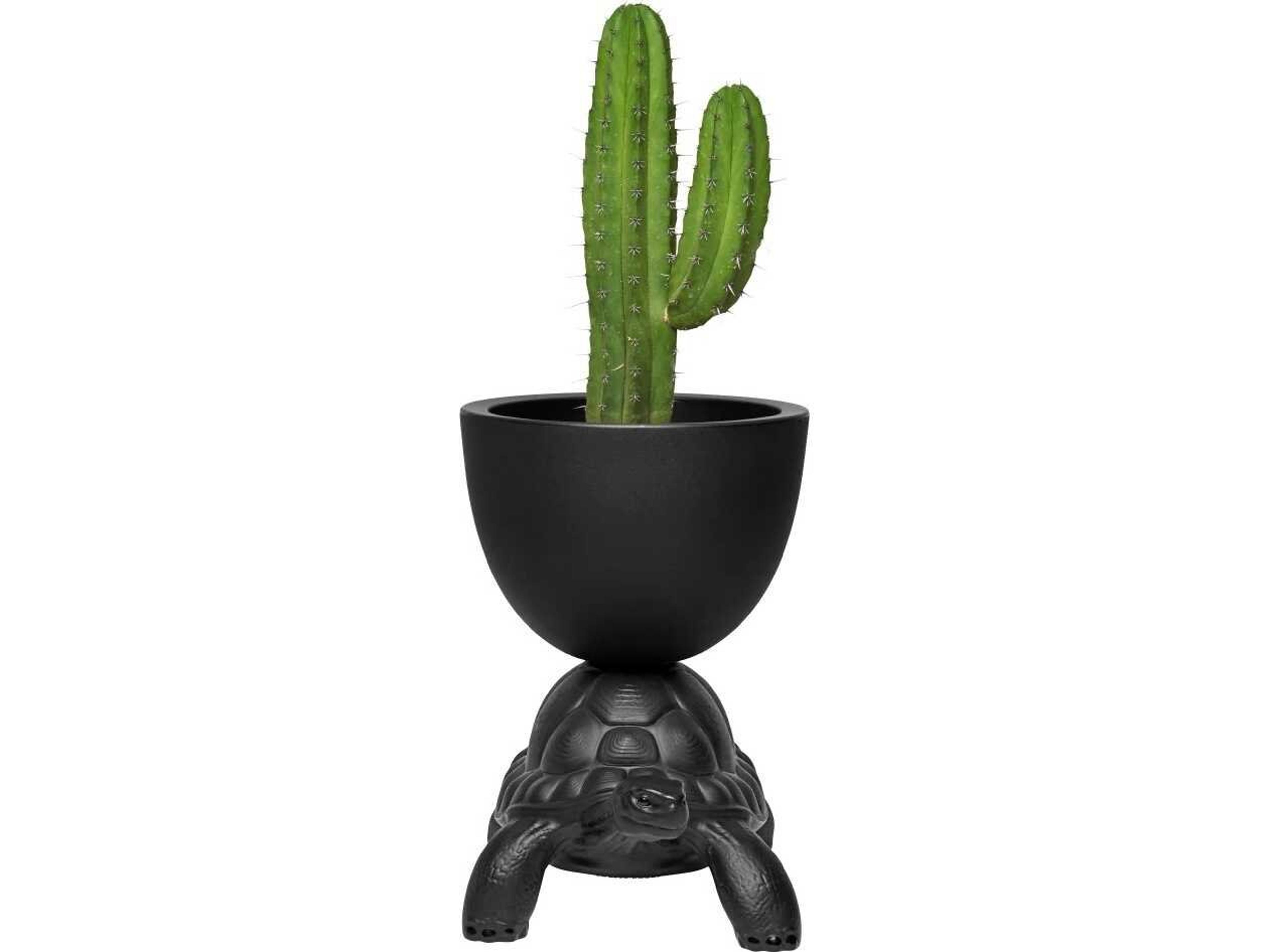 Qeeboo Outdoor Turtle Carry Black Planter