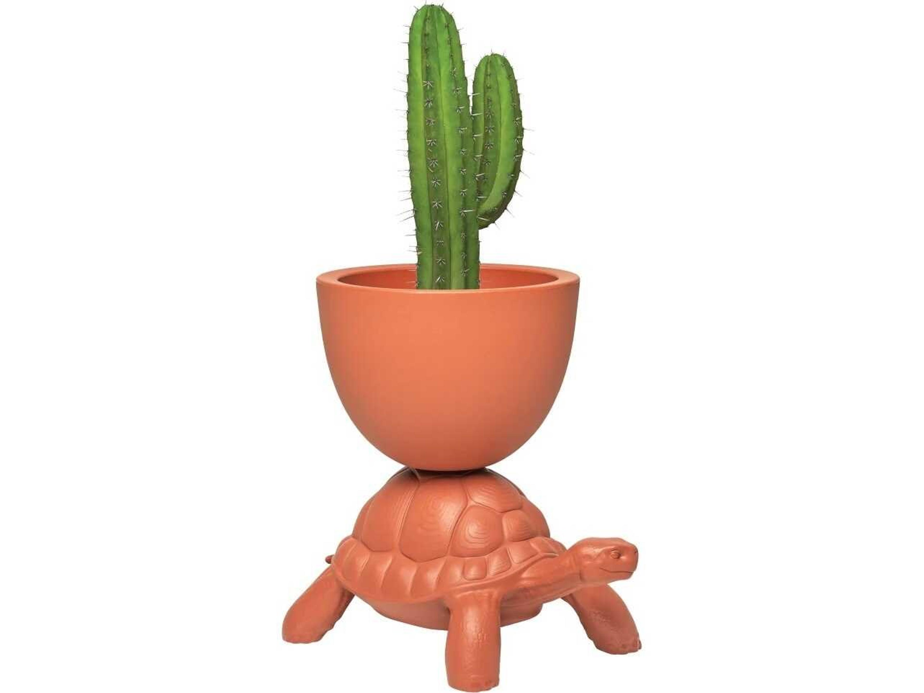 Turtle Carry Terracotta Planter