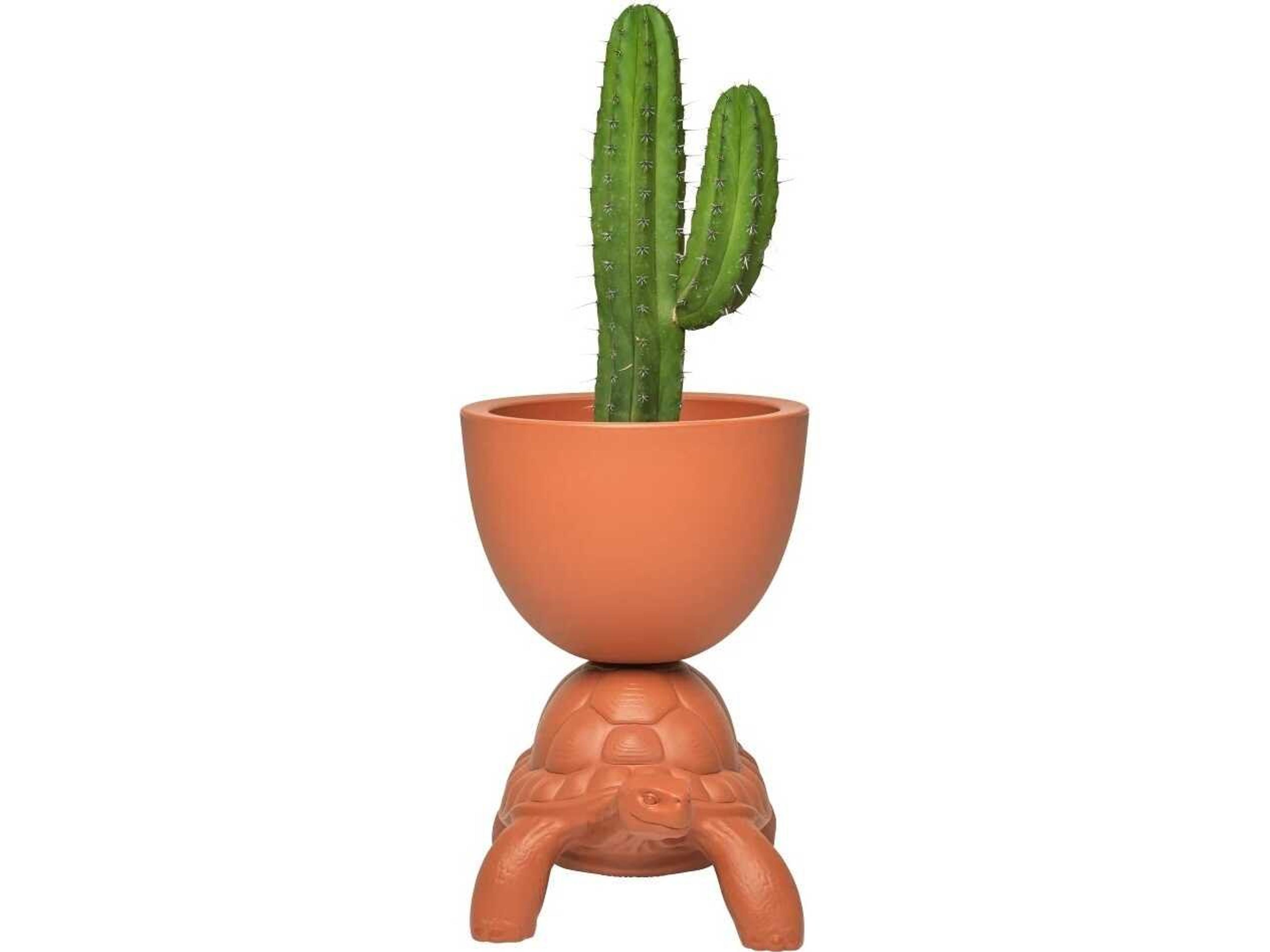 Qeeboo Outdoor Turtle Carry Terracotta Planter