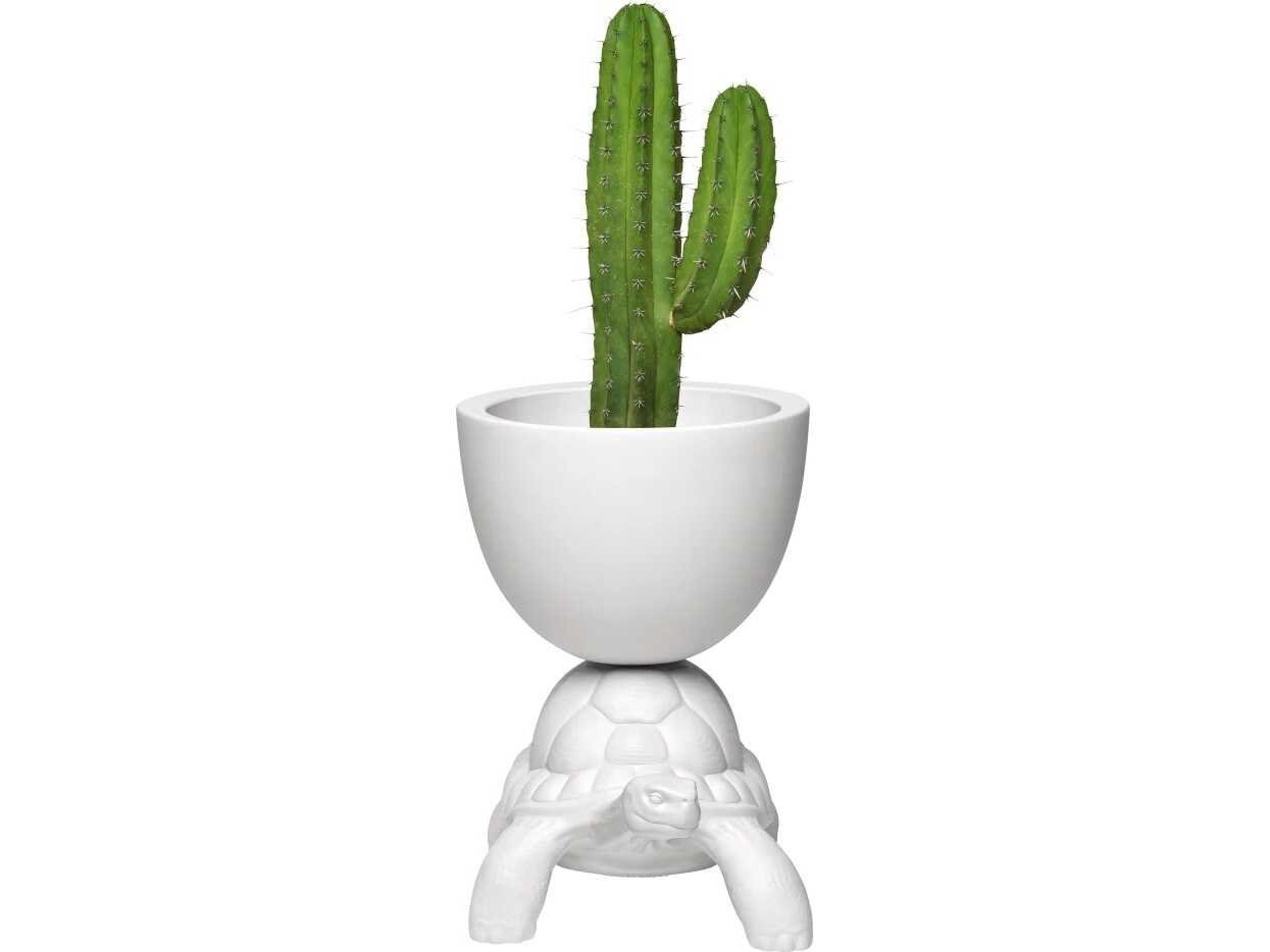 Qeeboo Outdoor Turtle Carry White Planter