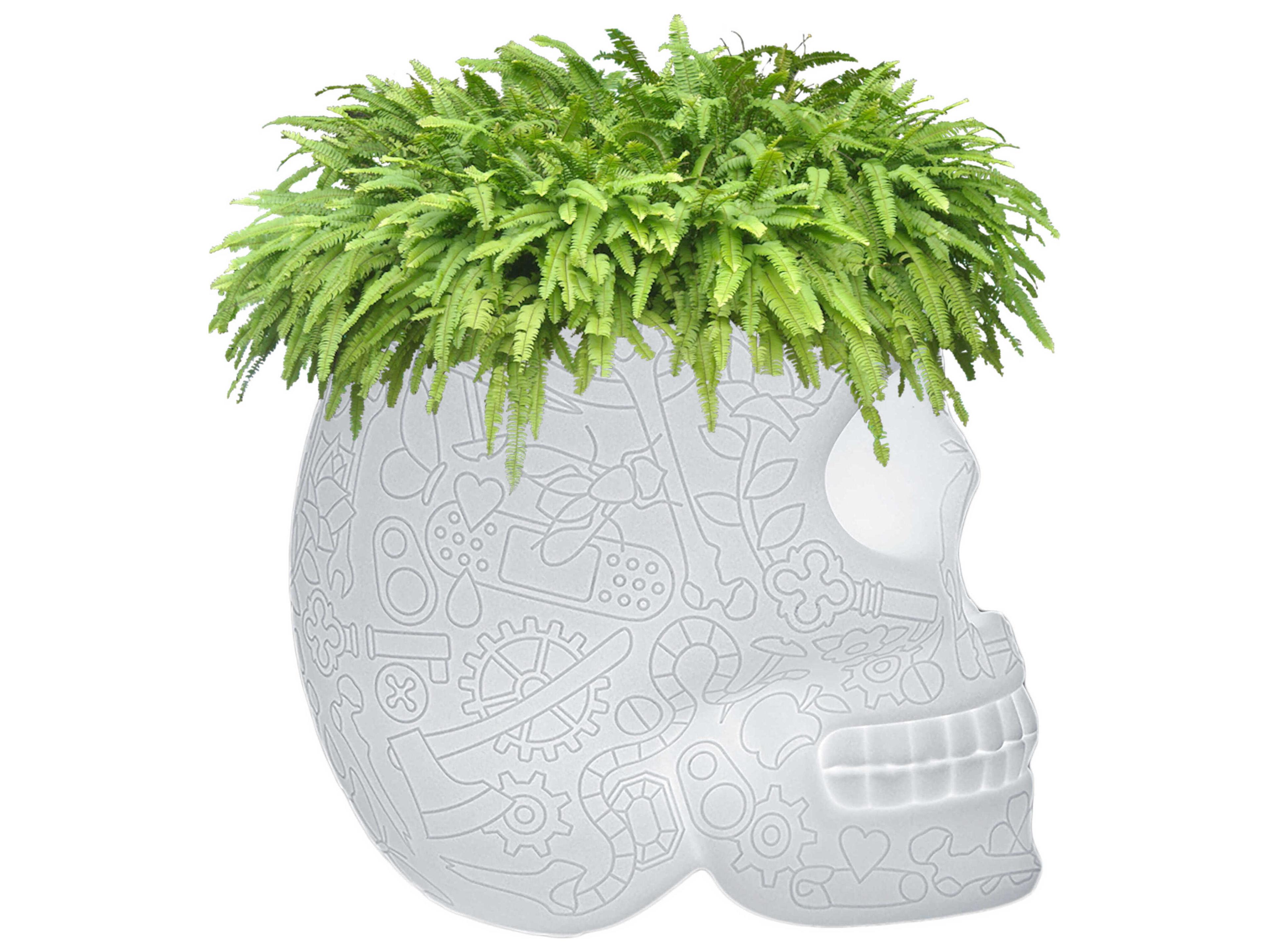 Qeeboo Outdoor Mexico Translucent Planter