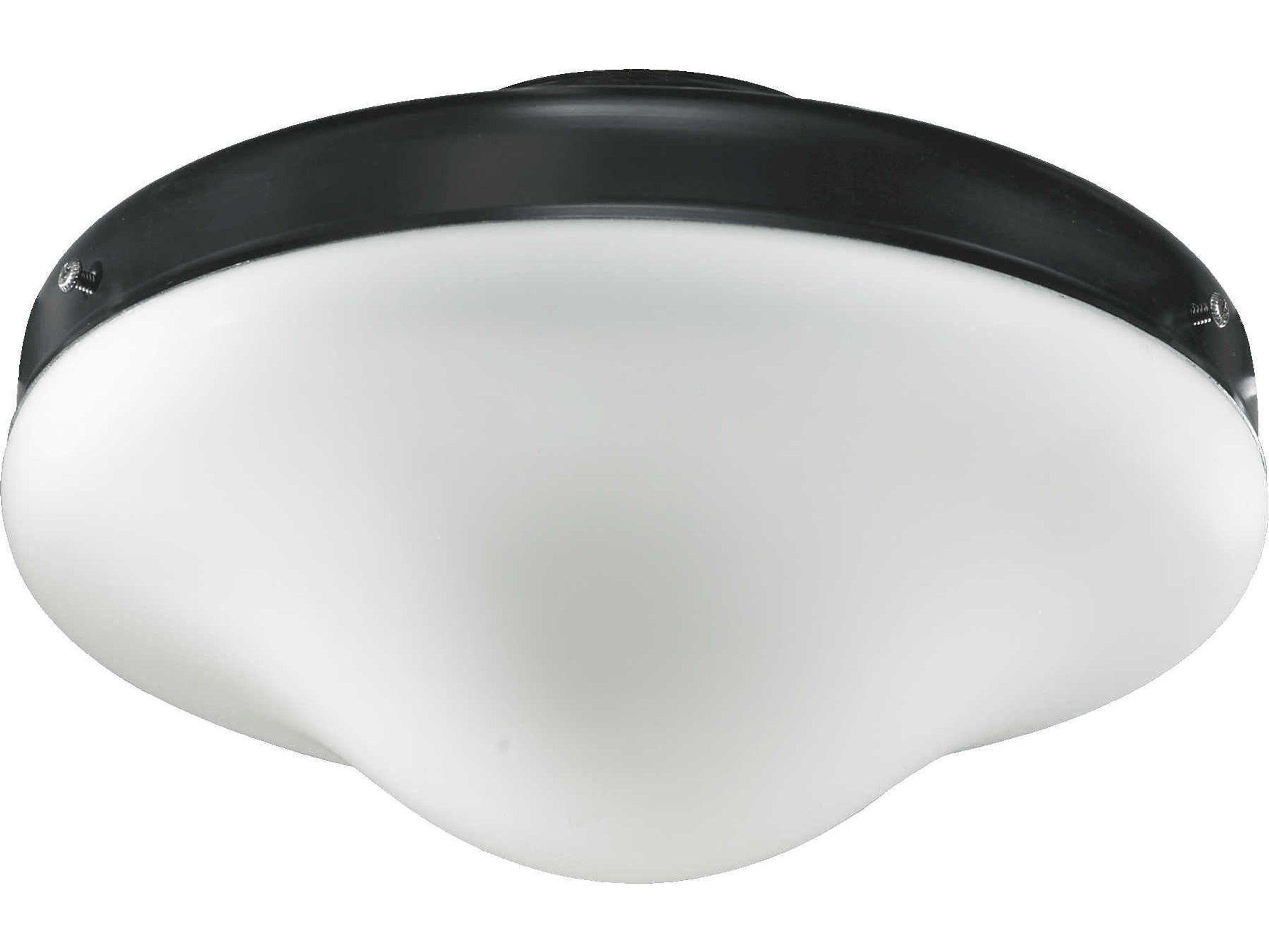 Matte Black 1-Light Fan Light Kit