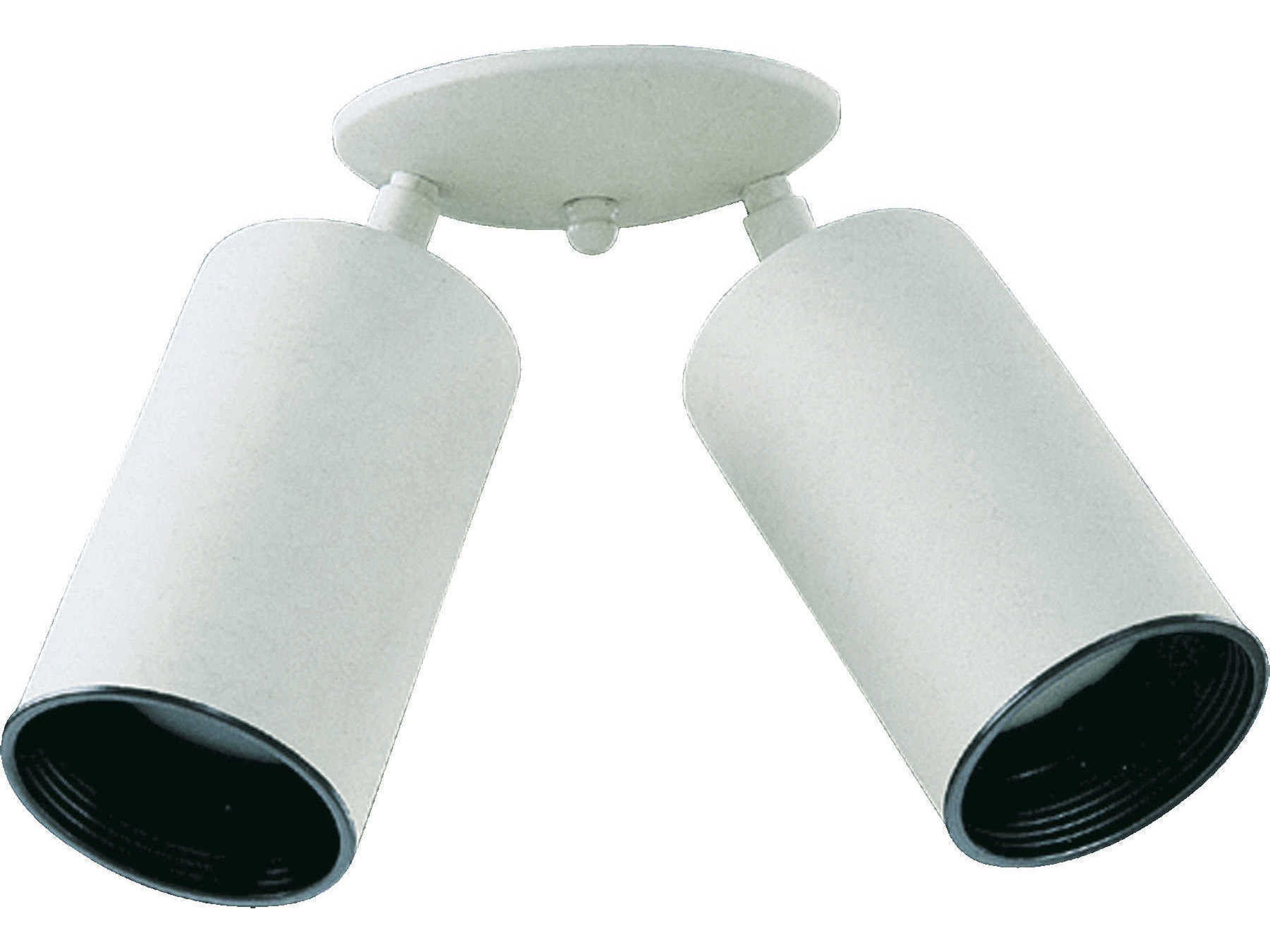 2 Light Mount White Fixture
