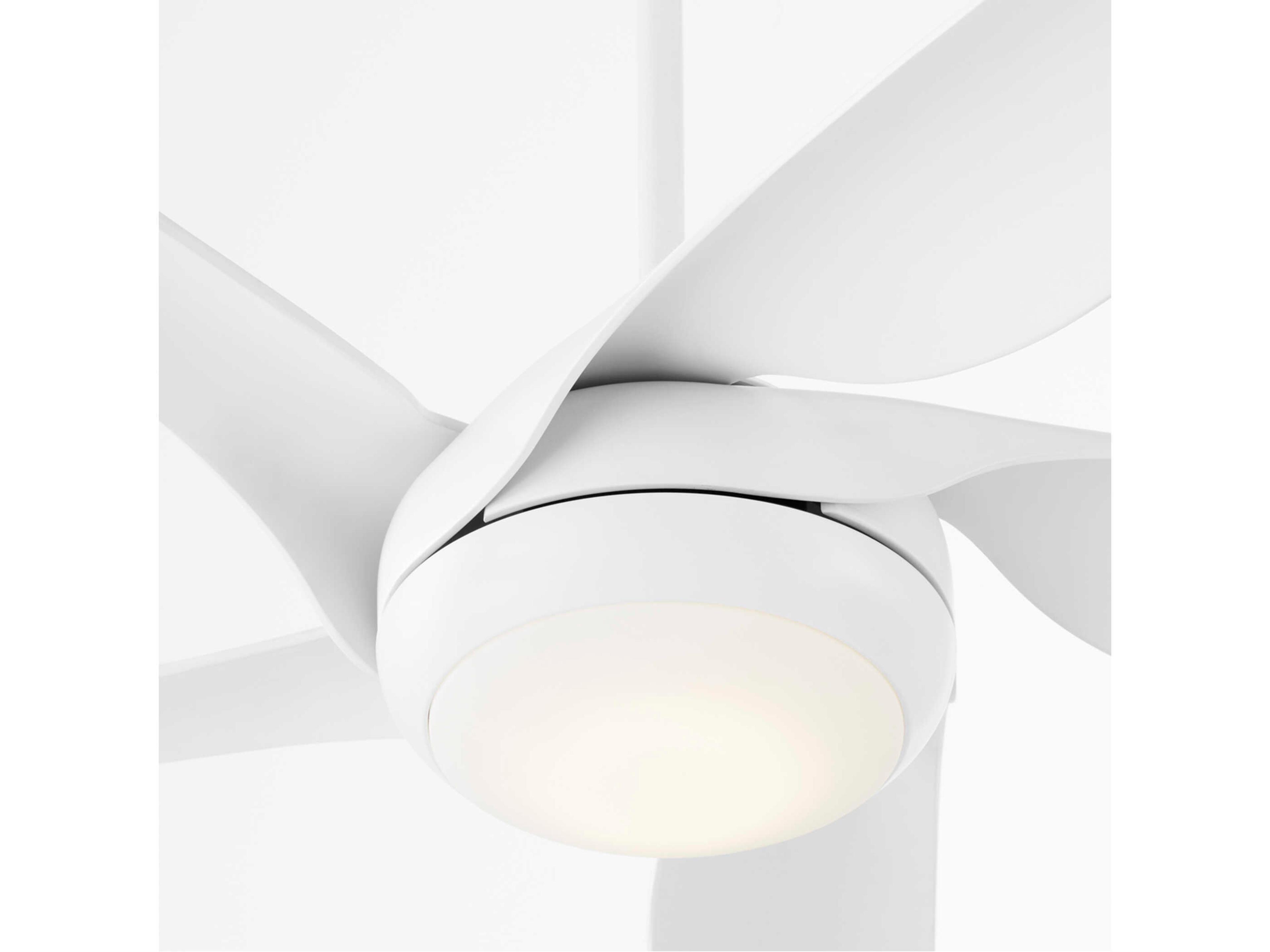 Quorum Fury 65" Outdoor Ceiling Fan