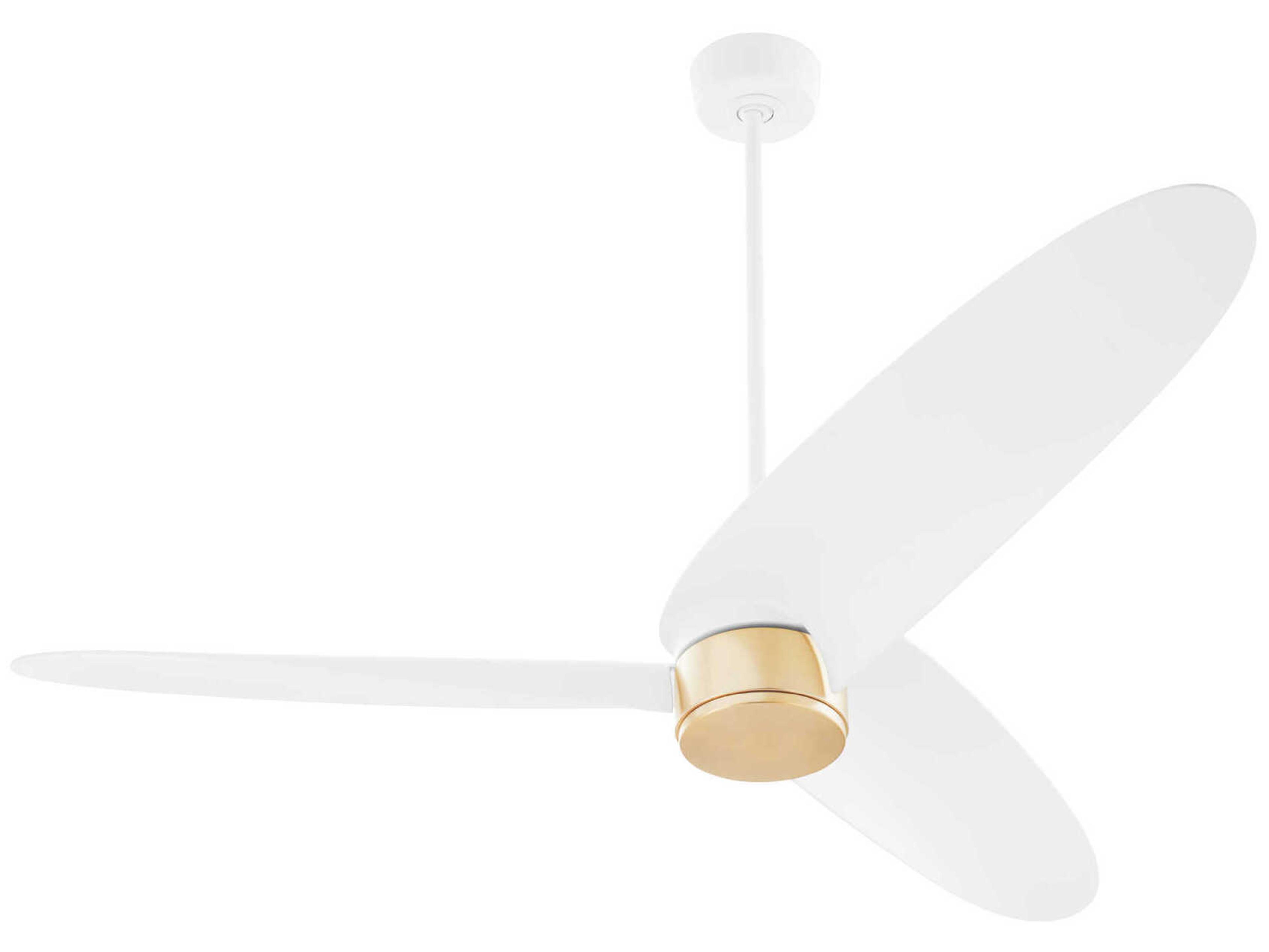 Quorum Brisa 60" Outdoor Ceiling Fan