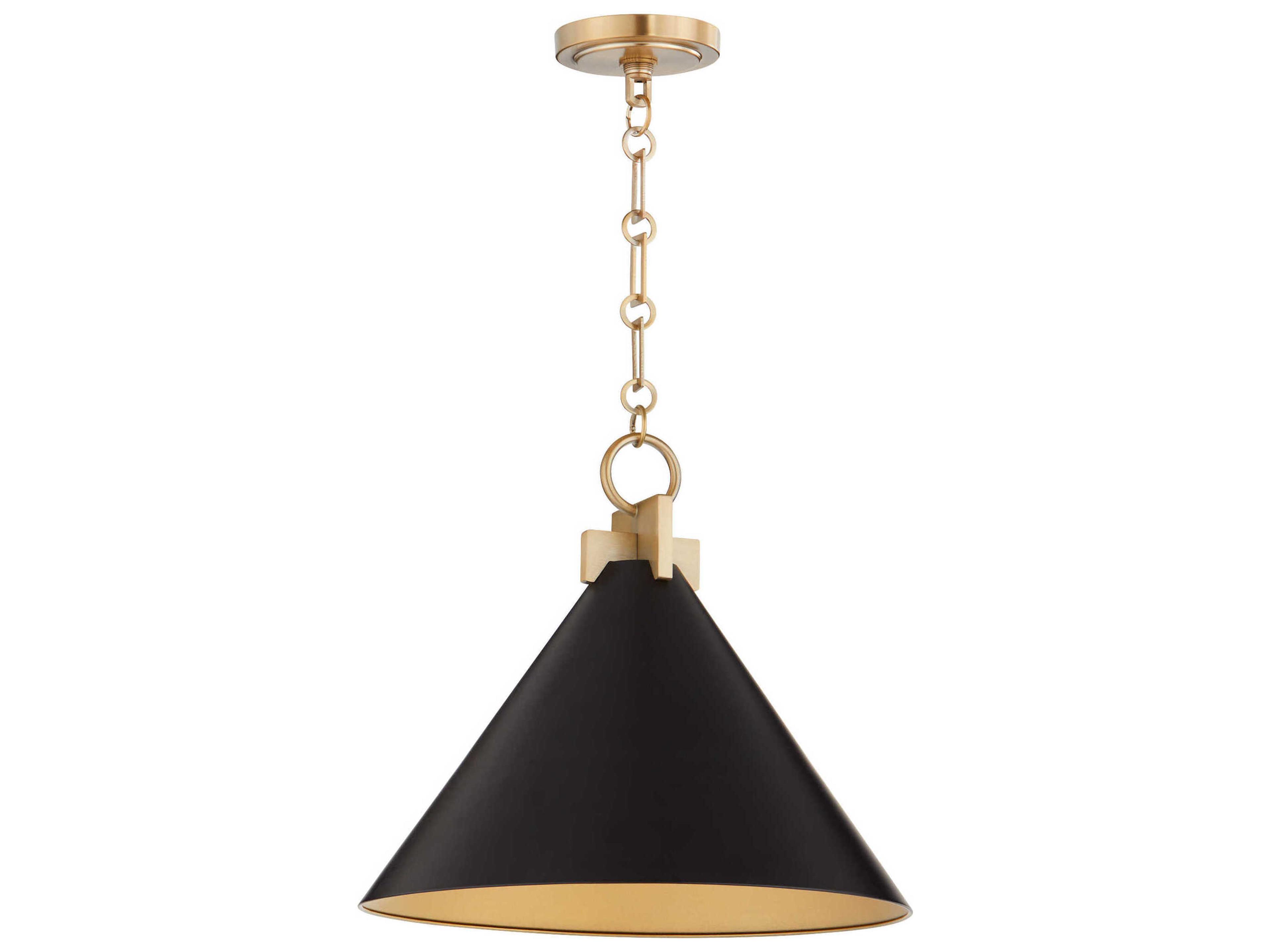 Jackson 1-Light Matte Black Aged Brass Pendant