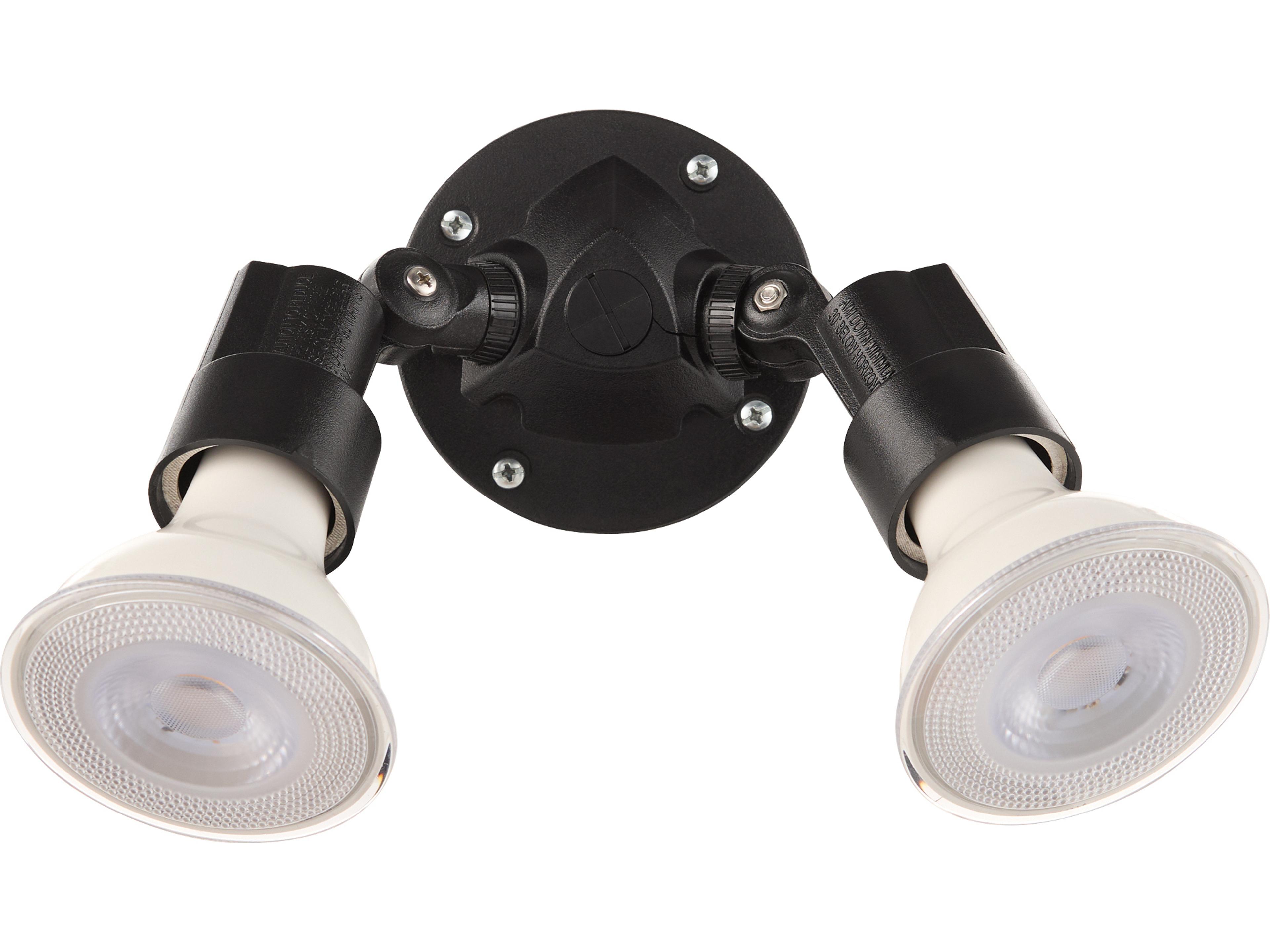 Outdoor 2-Light Black Spot Light
