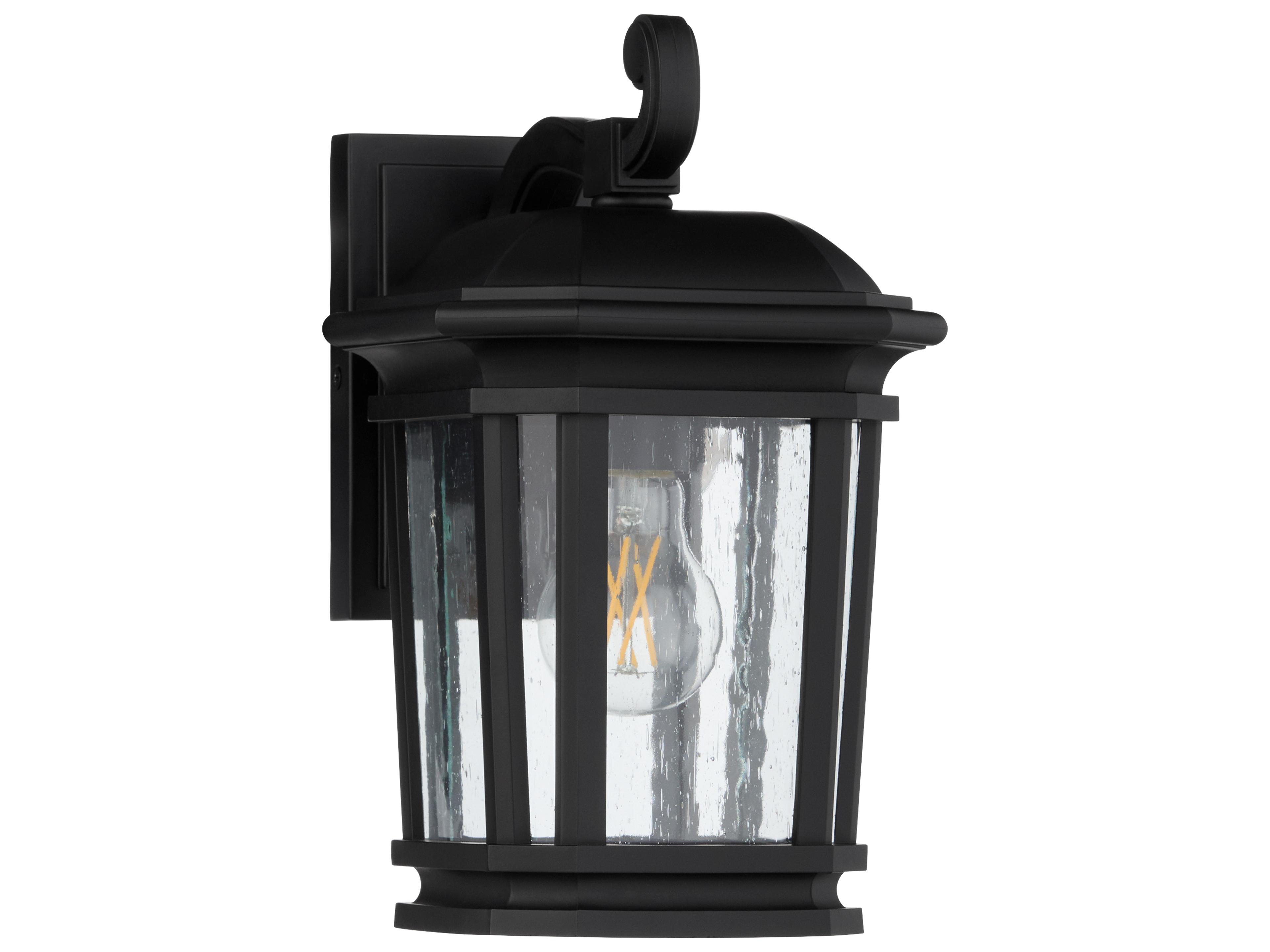Murphy 1-Light Outdoor Wall Light