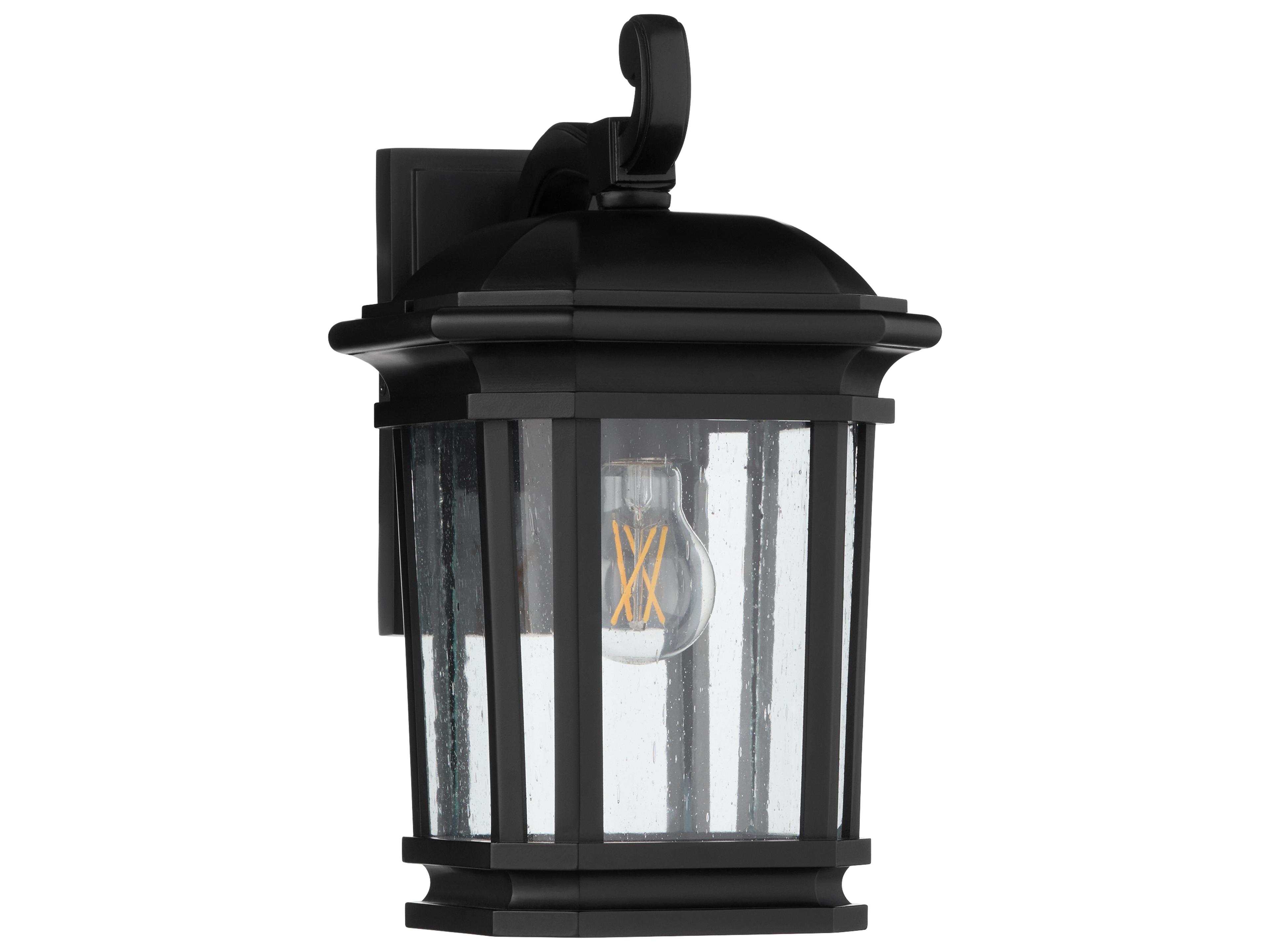 Murphy 1-Light Outdoor Wall Light