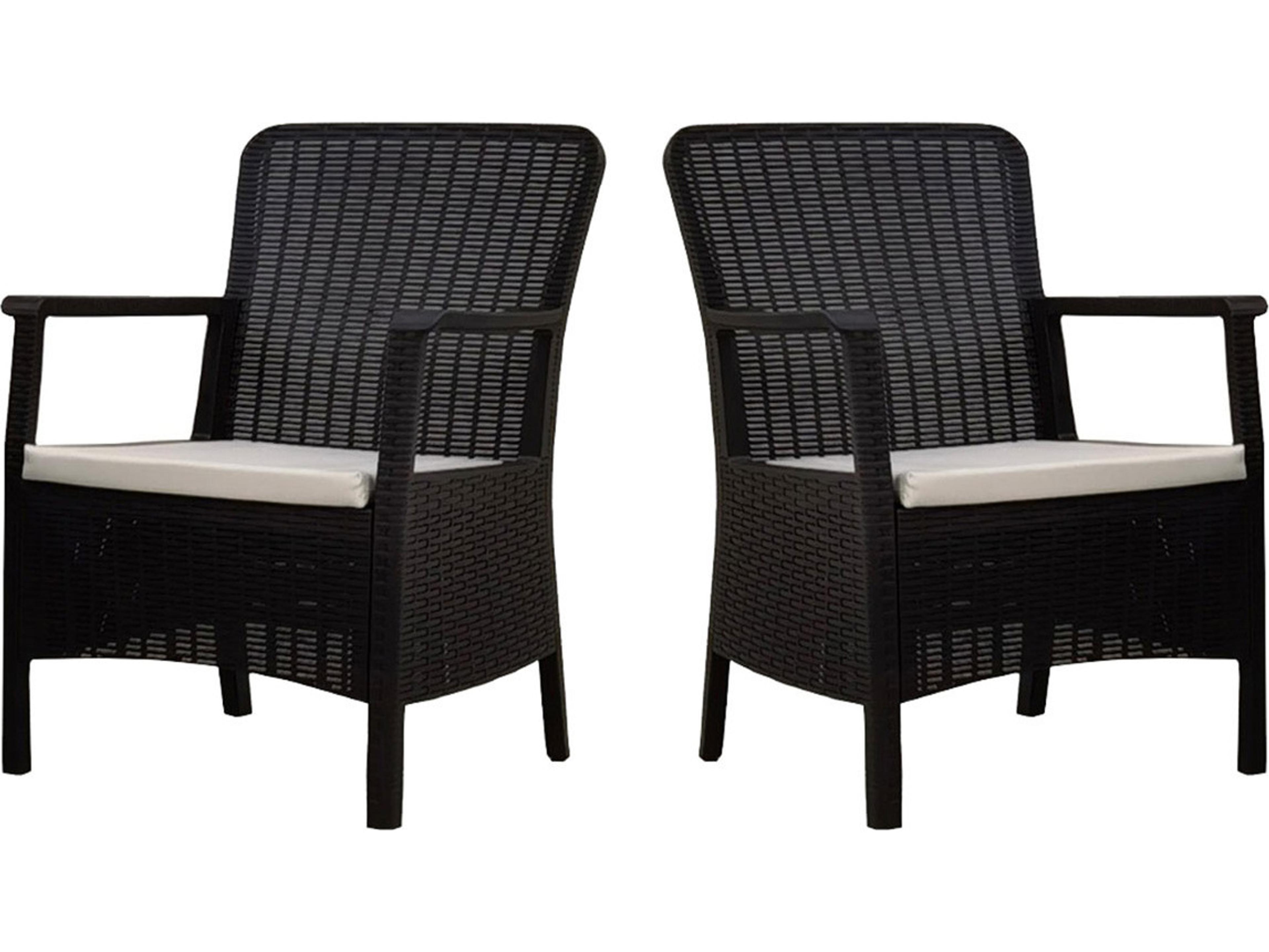 Napoli Resin Anthracite Dining Arm Chair with Cushion Set of 2