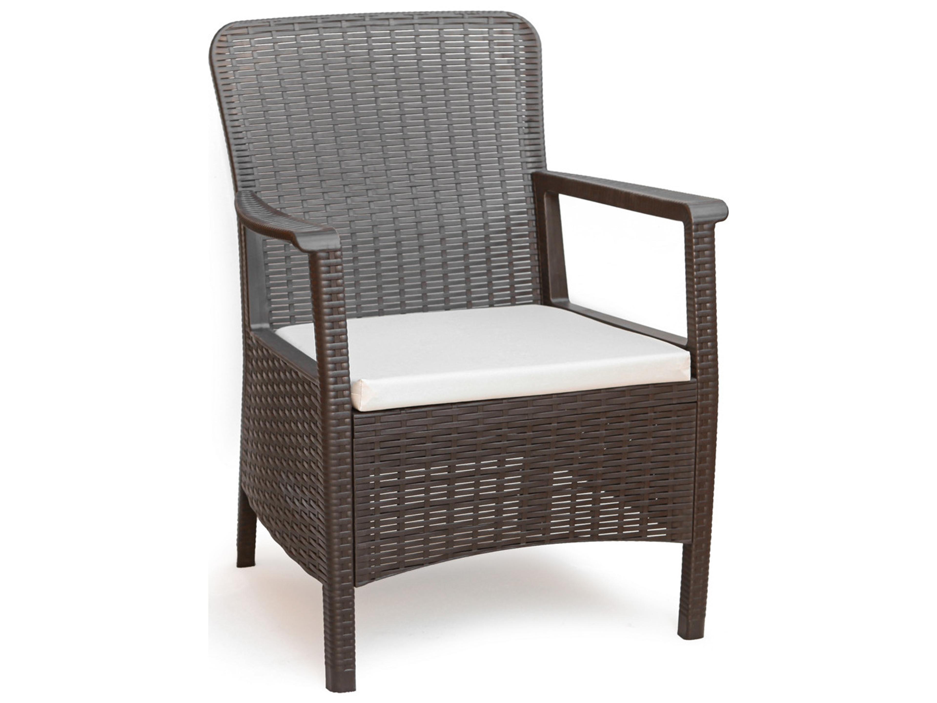 Rainbow Outdoor Napoli Resin Brown Dining Arm Chair with Cushion Set of 2