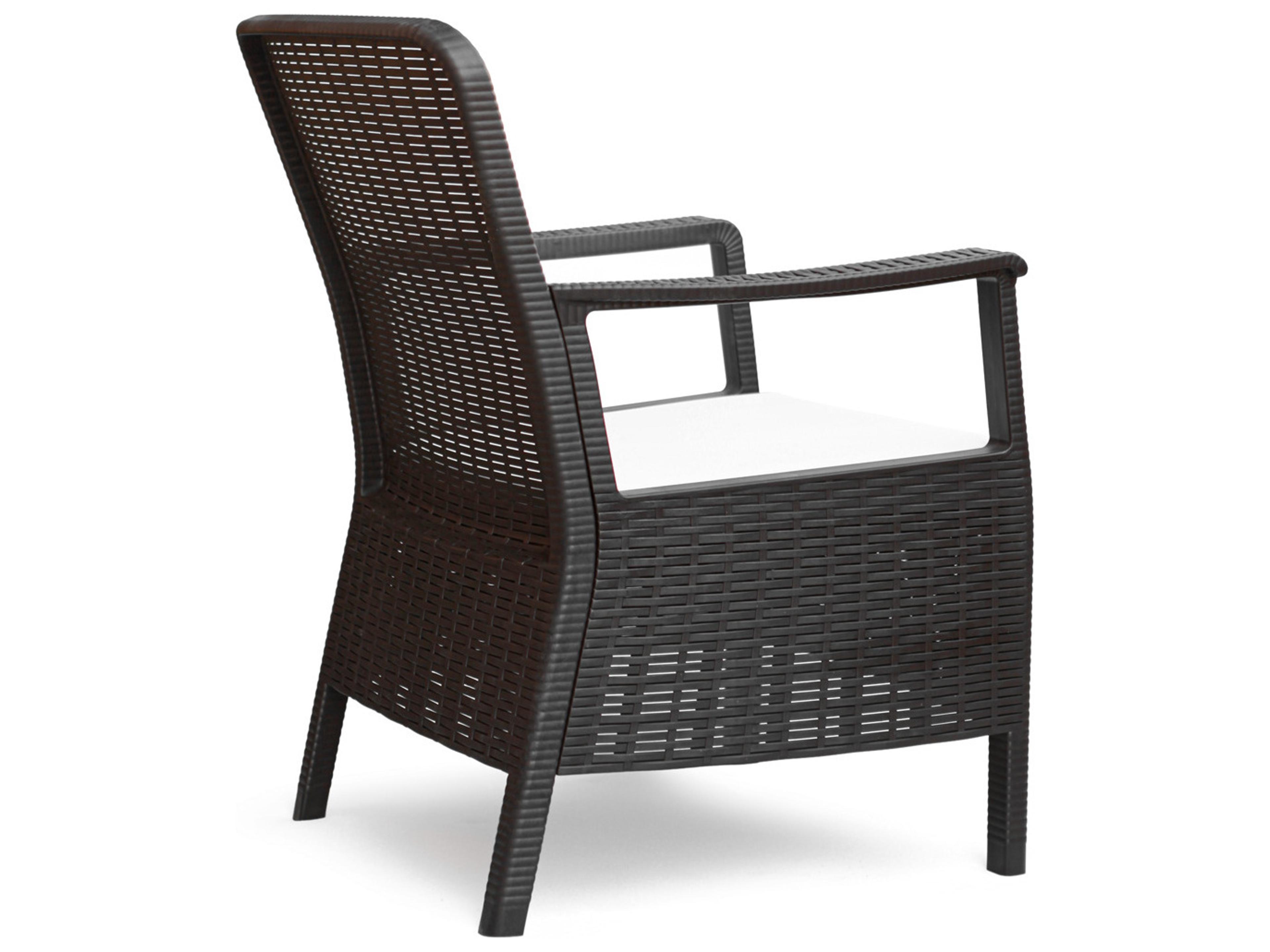 Rainbow Outdoor Napoli Resin Brown Dining Arm Chair with Cushion Set of 2