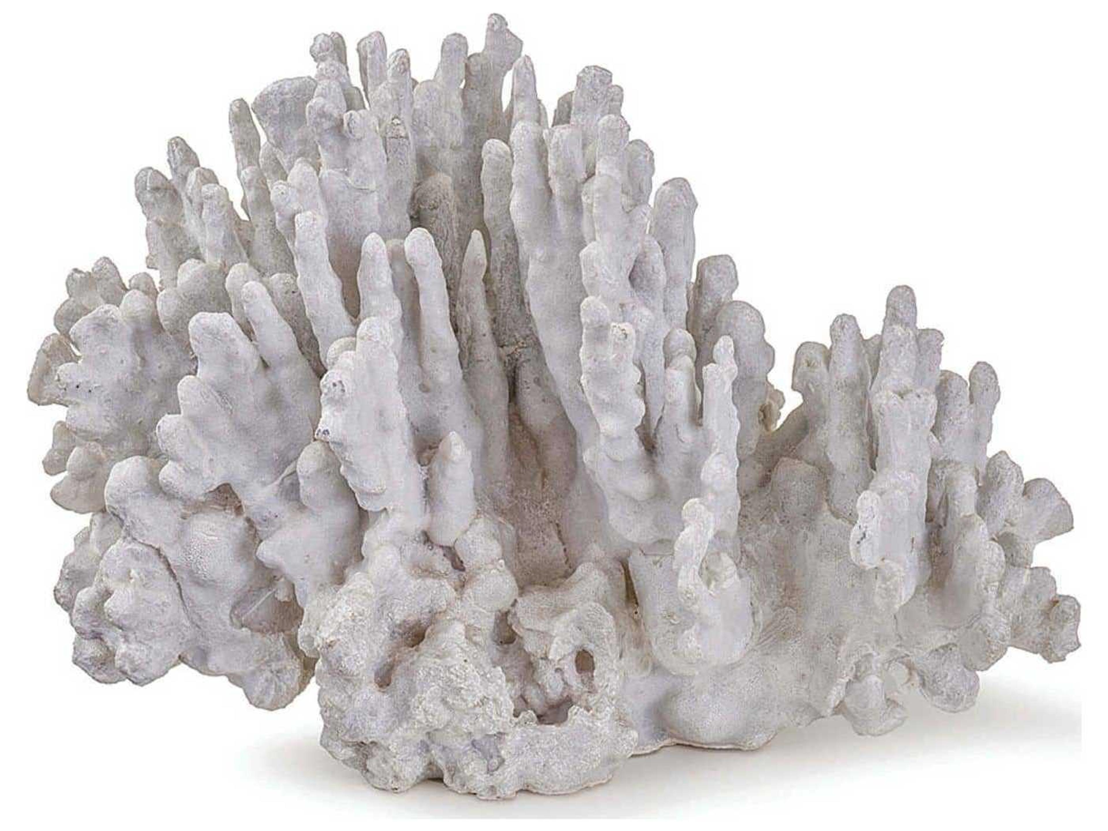 Coral Art Piece Large Natural Decorative Object