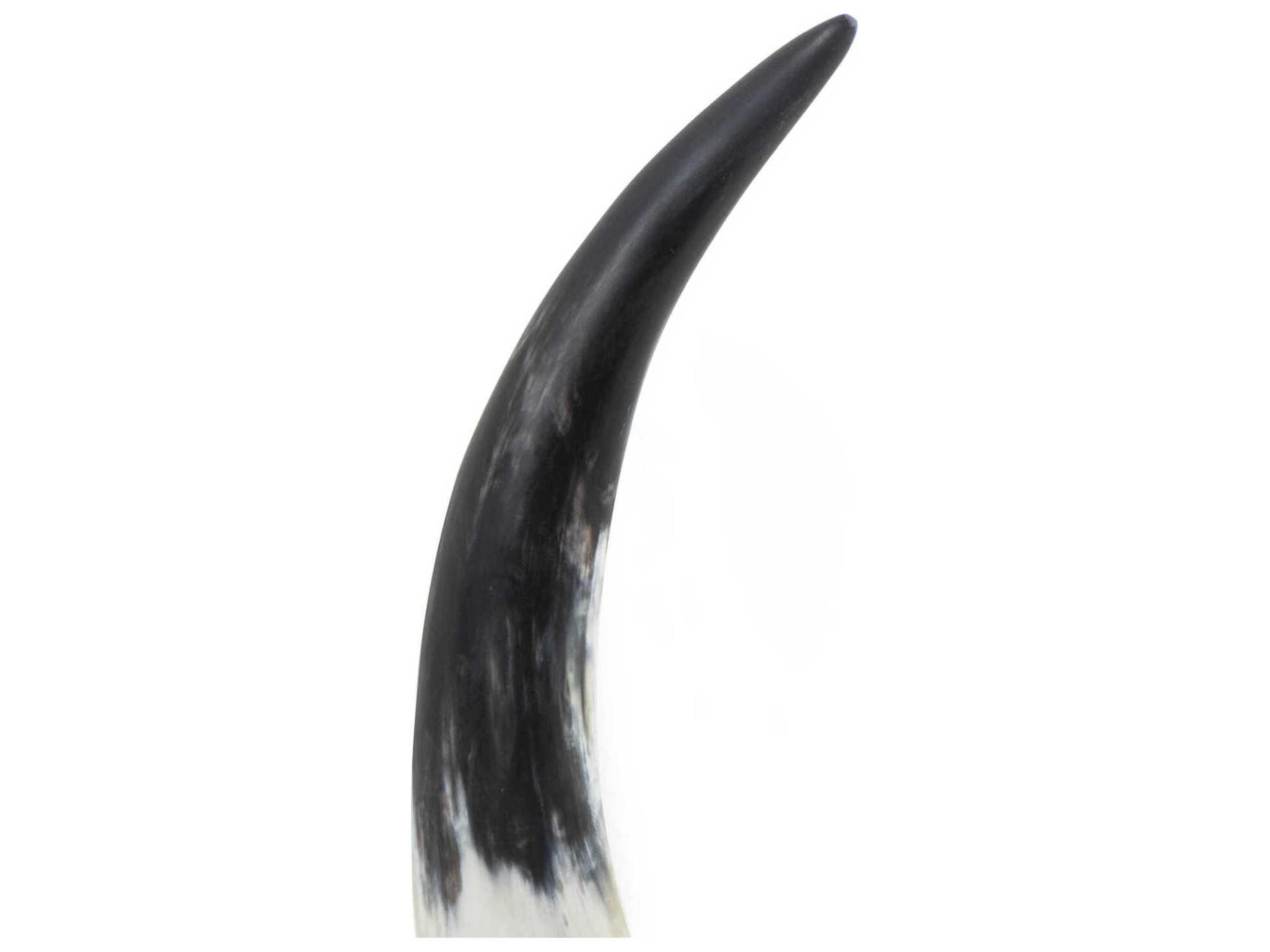 Regina Andrew Daylon Natural 15" High Horn