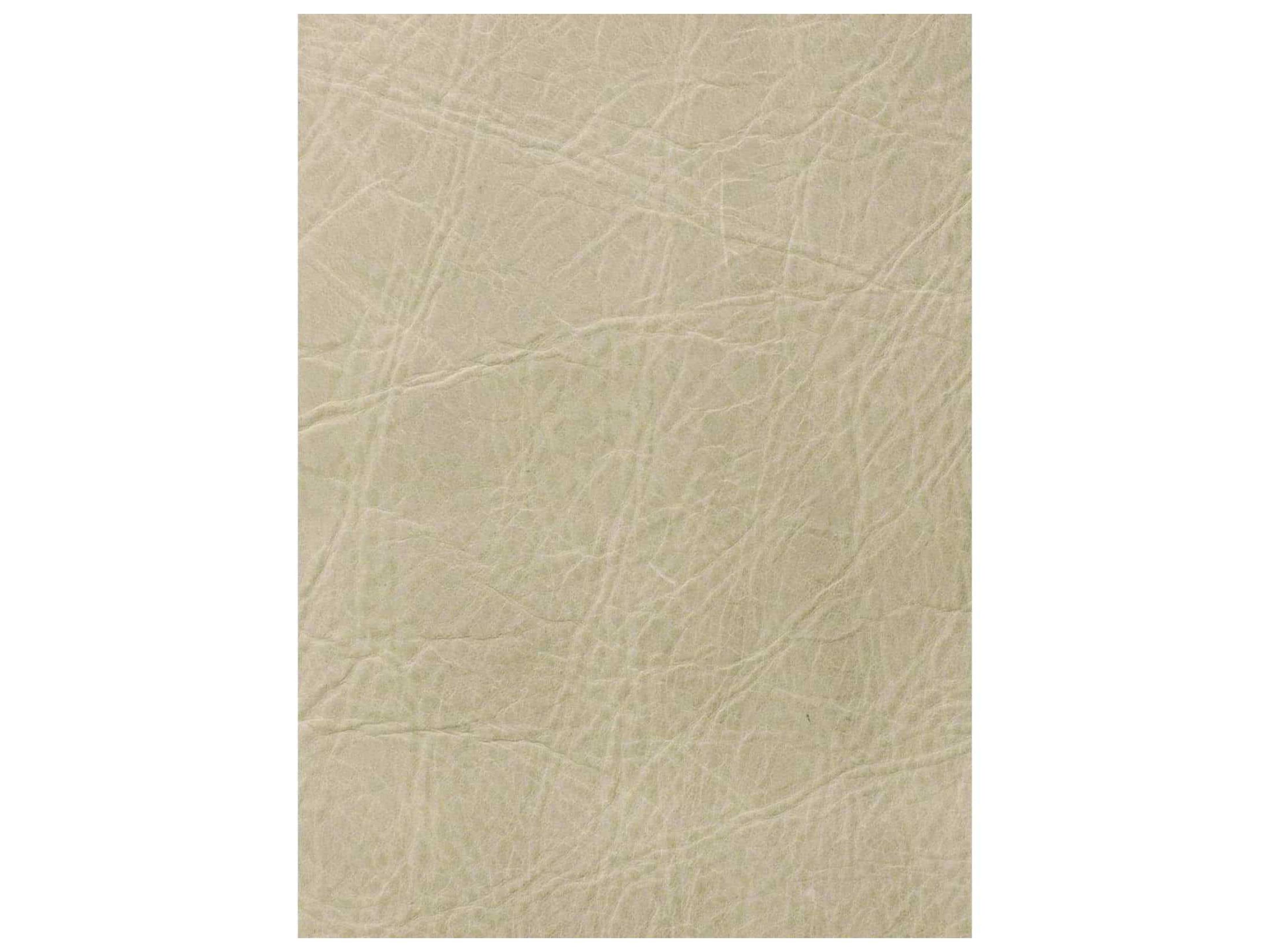 Regina Andrew Beretta Cappuccino Beige Leather Accent Bench