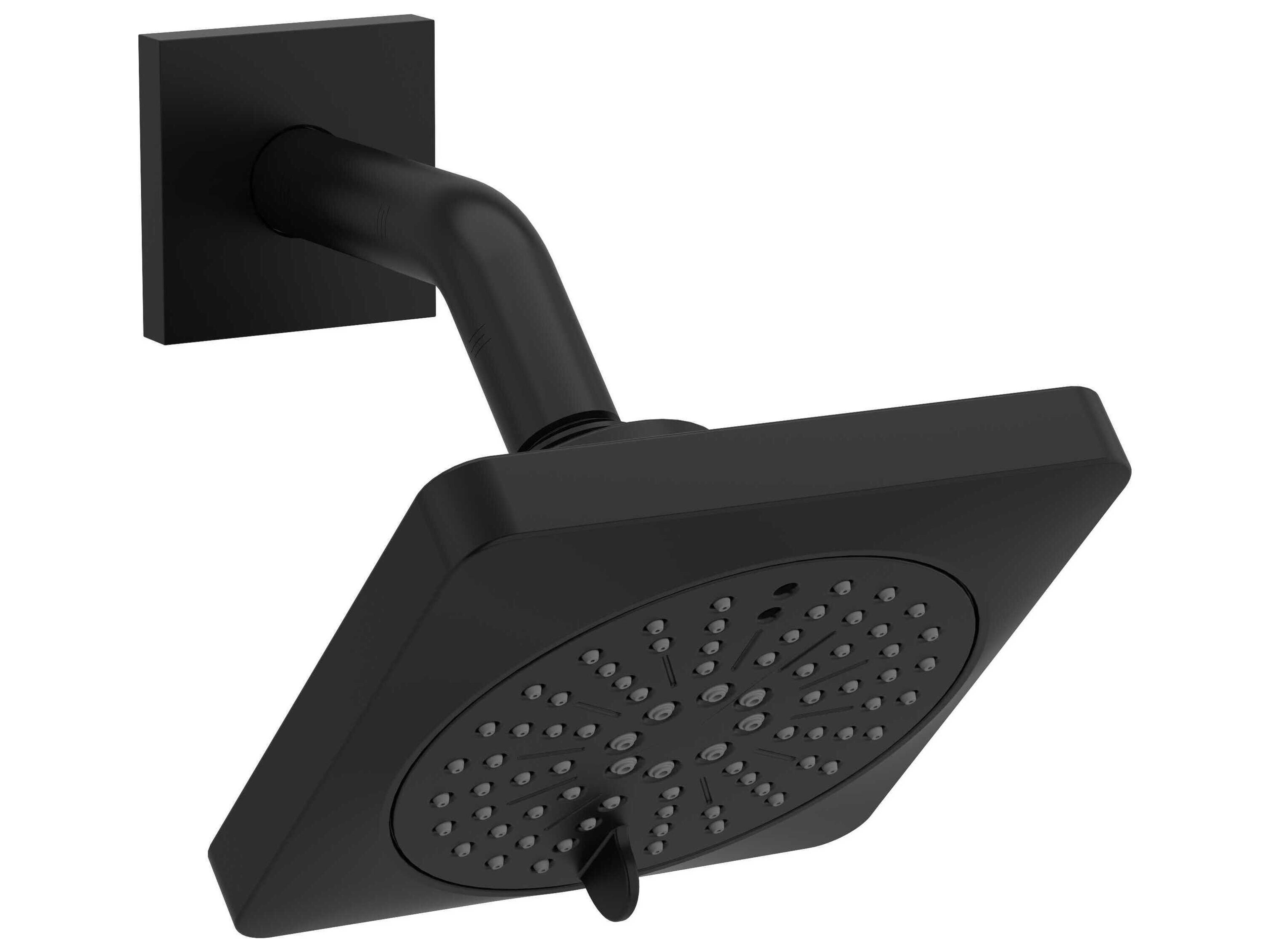 Black 6-Function Showerhead with Arm