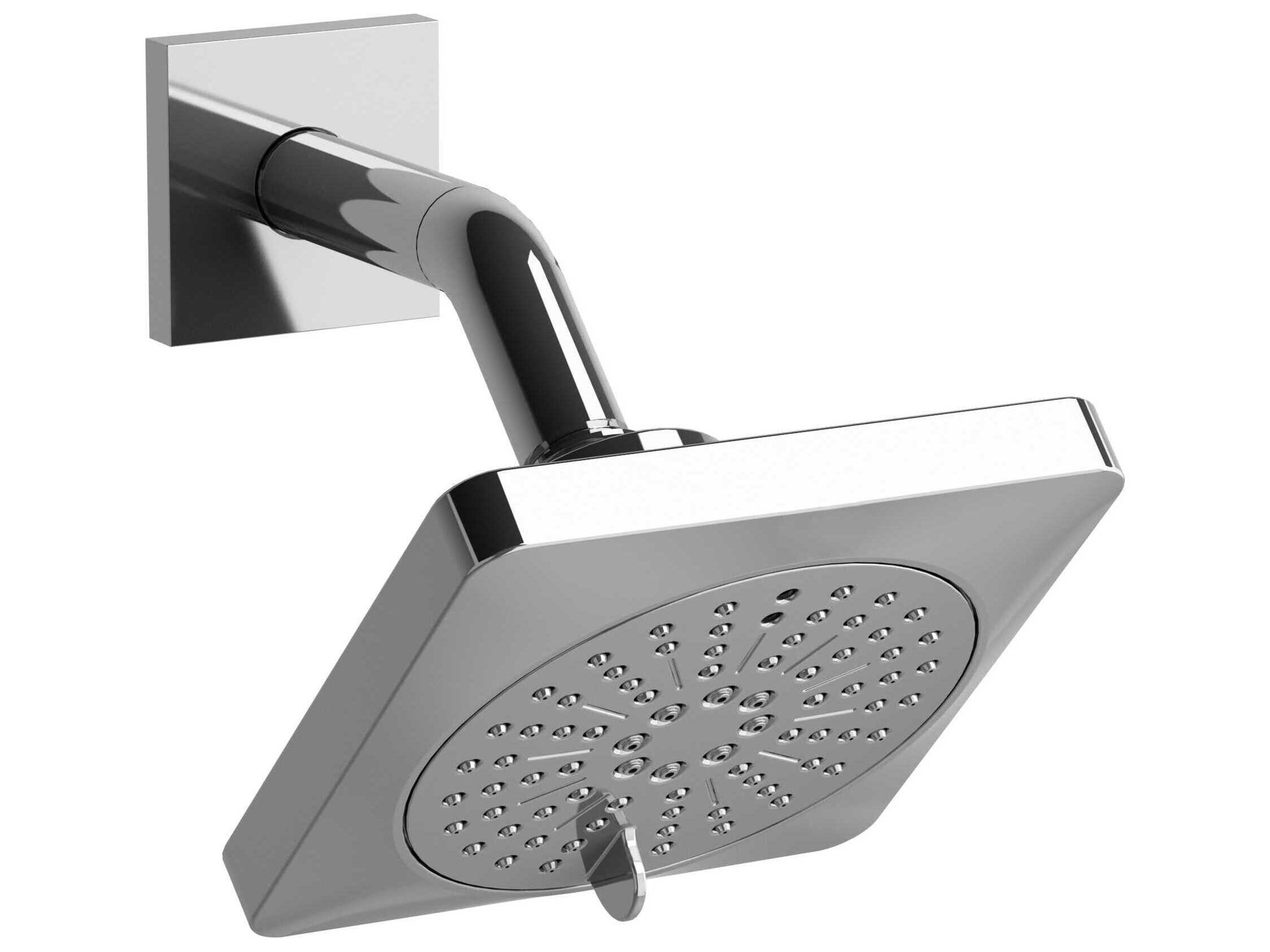 Chrome 6-Function Showerhead with Arm