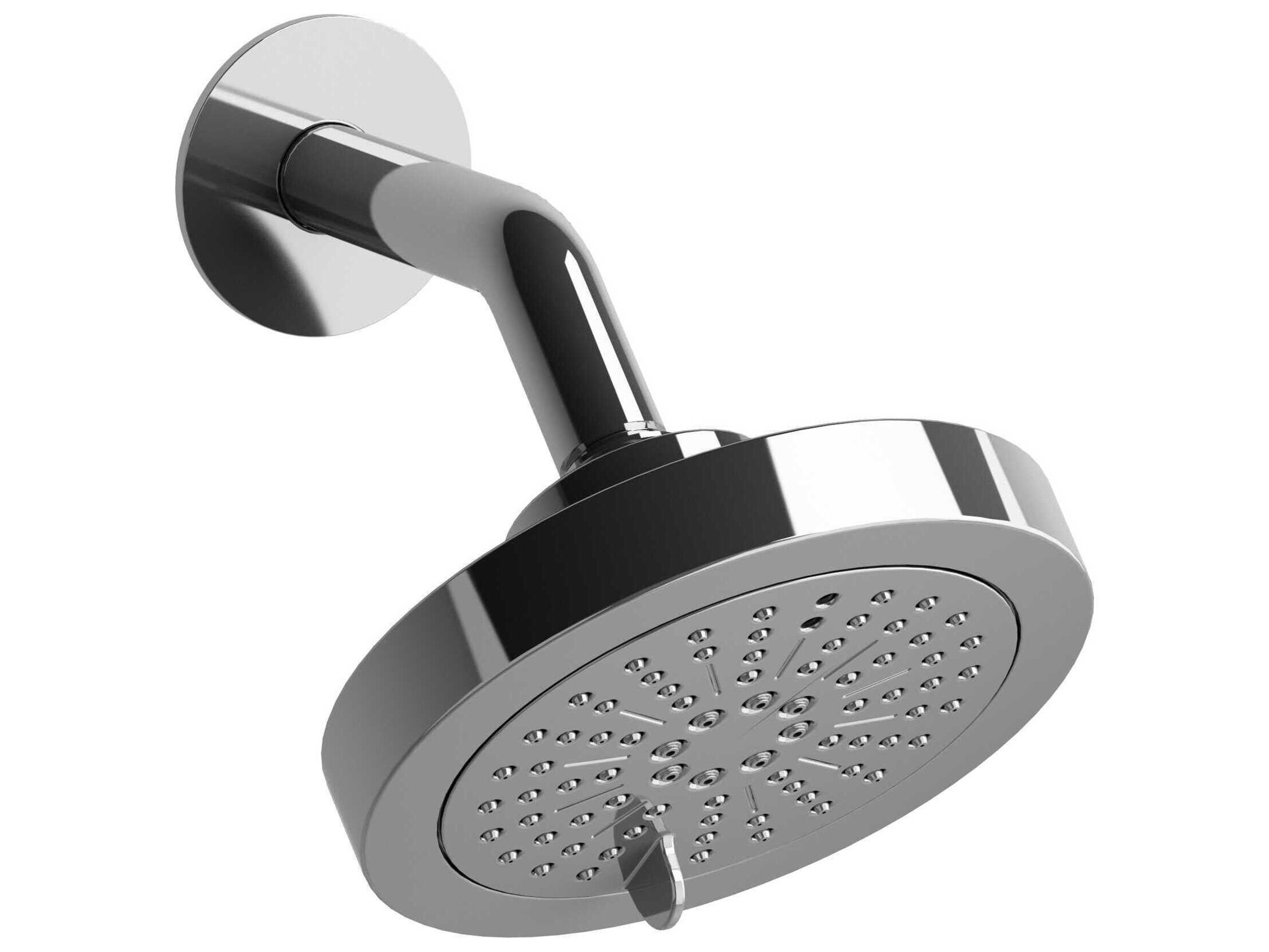 Chrome 6-Function Showerhead with Arm