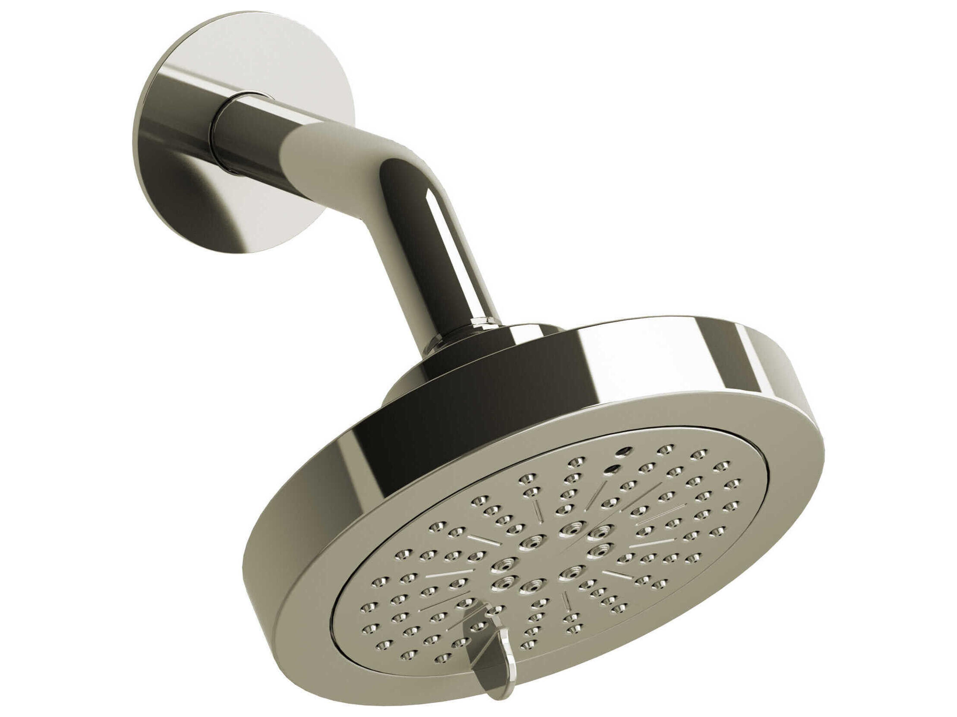 Polished Nickel 6-Function WaterSense Showerhead with Arm