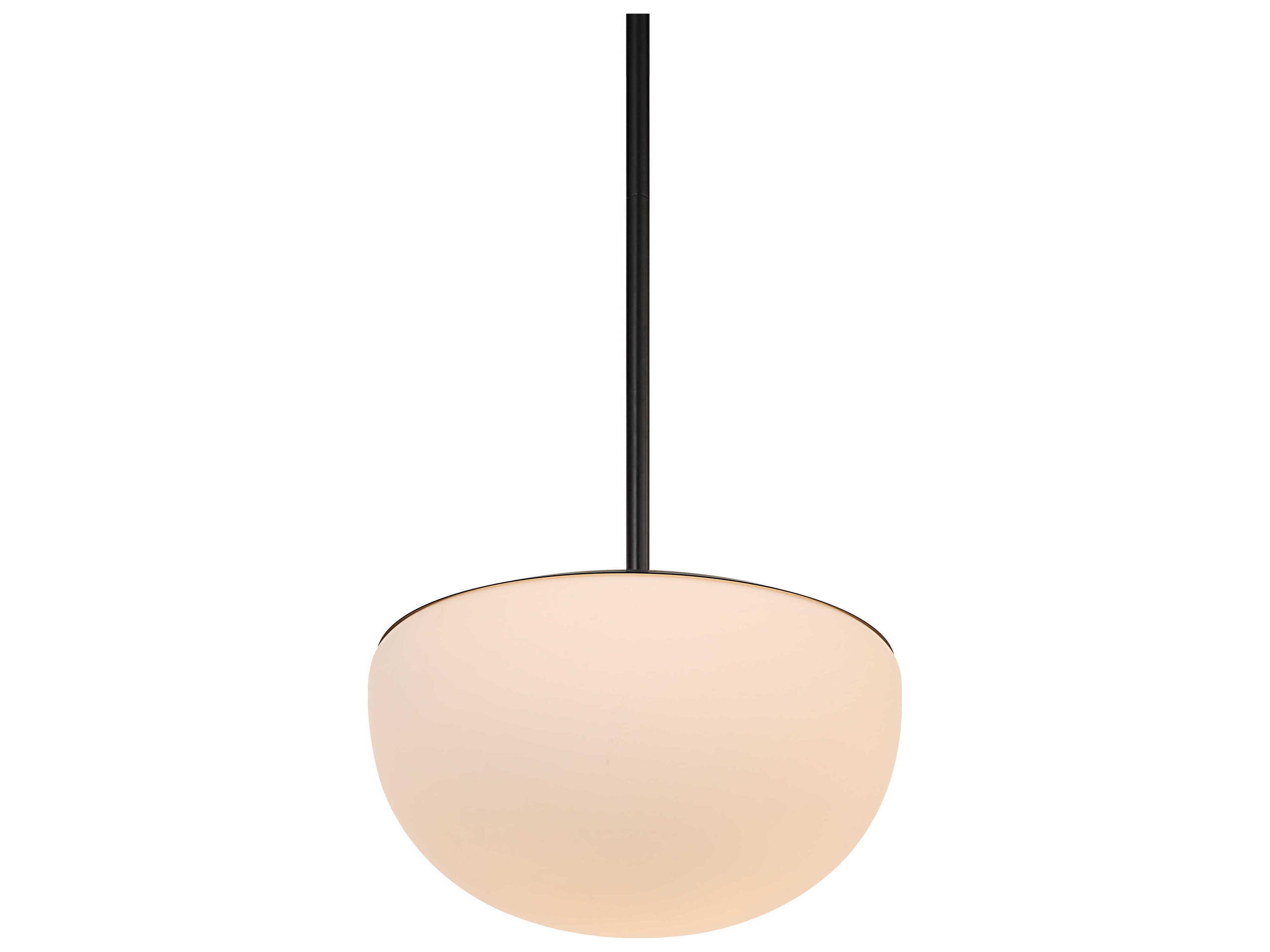 Renwil Aditi 1-Light Black Pendant