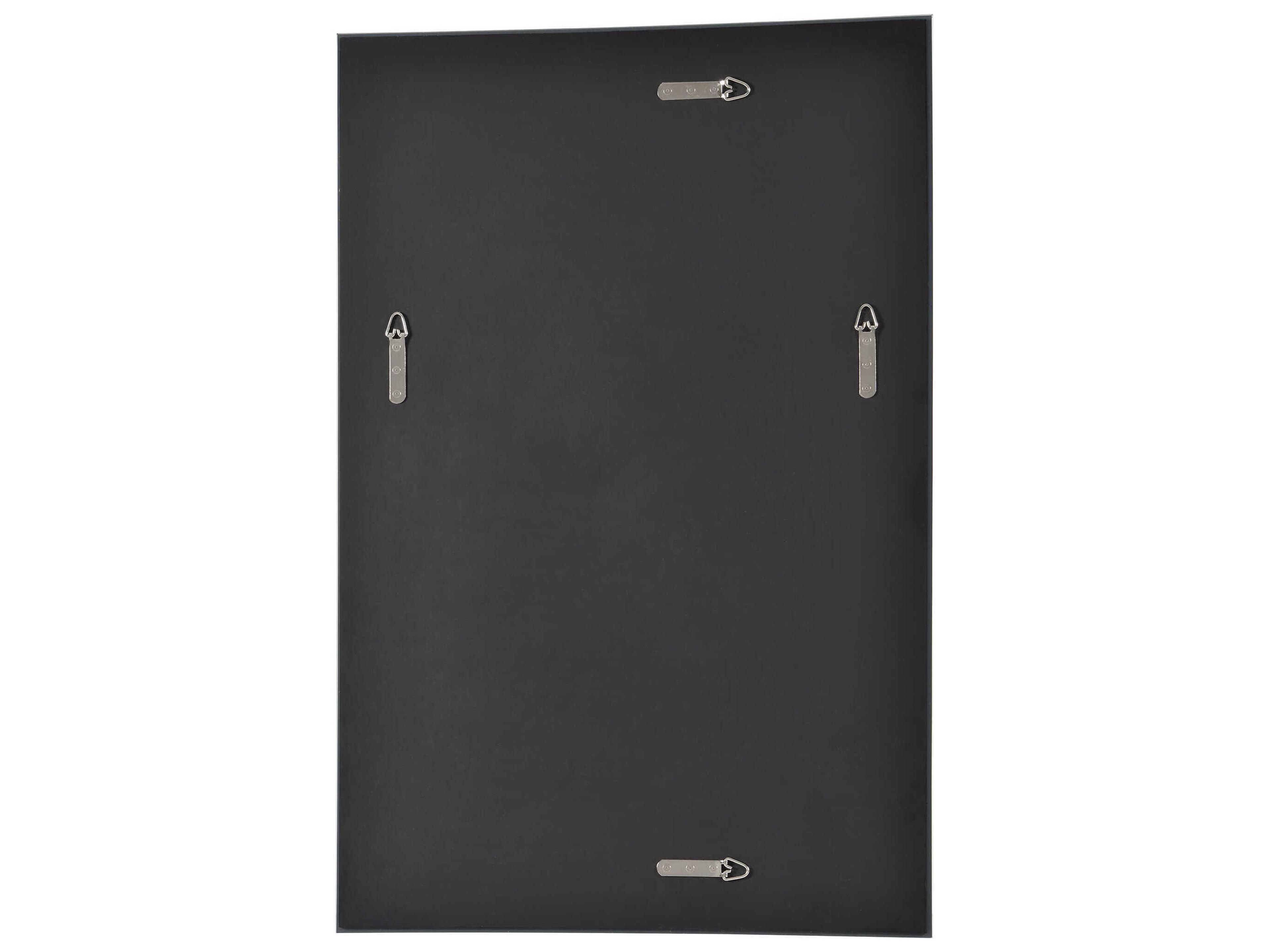 Renwil Asset Clear Rectangular Wall Mirror