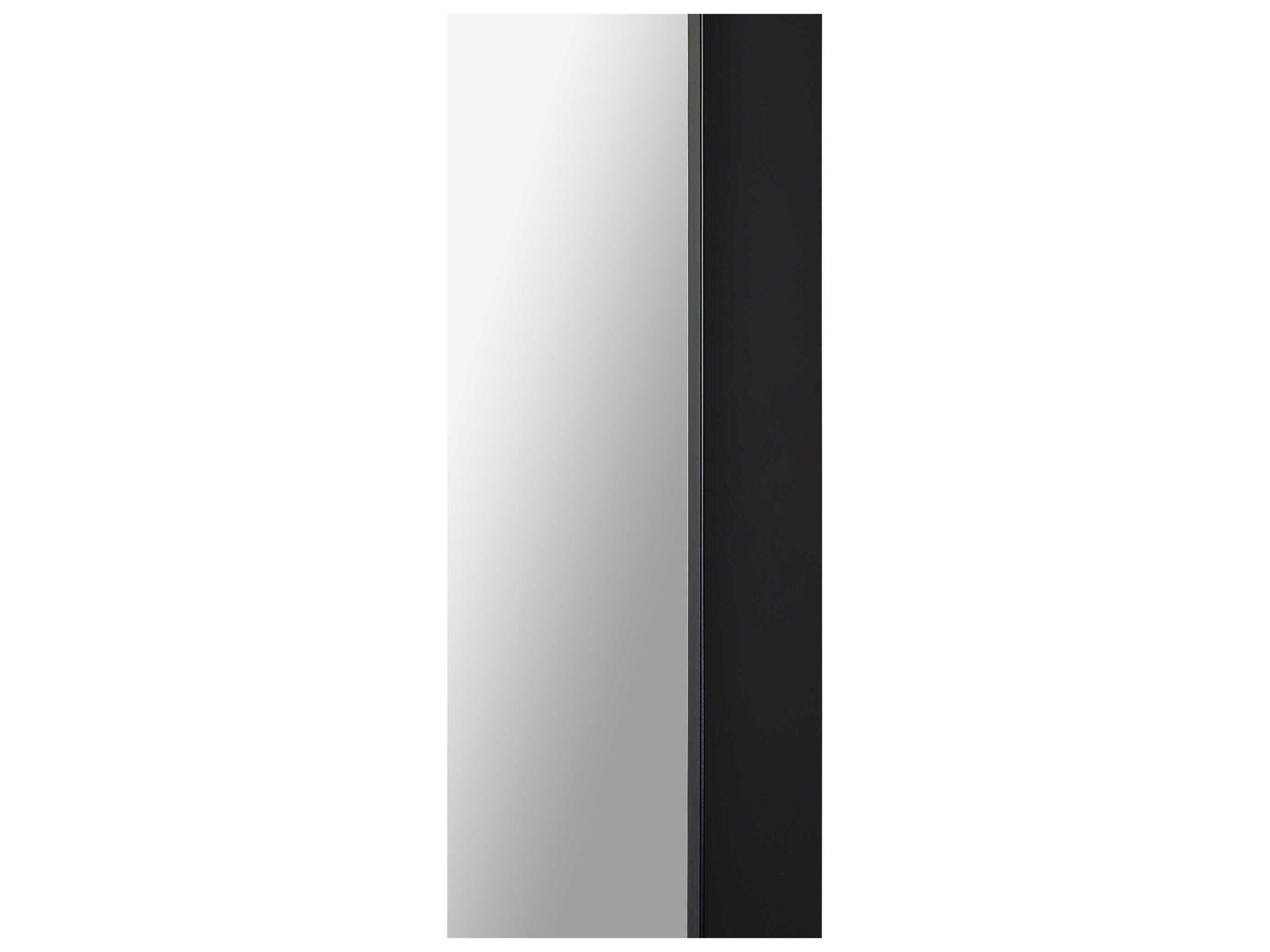 Renwil Delacorte Black Rectangular Wall Mirror