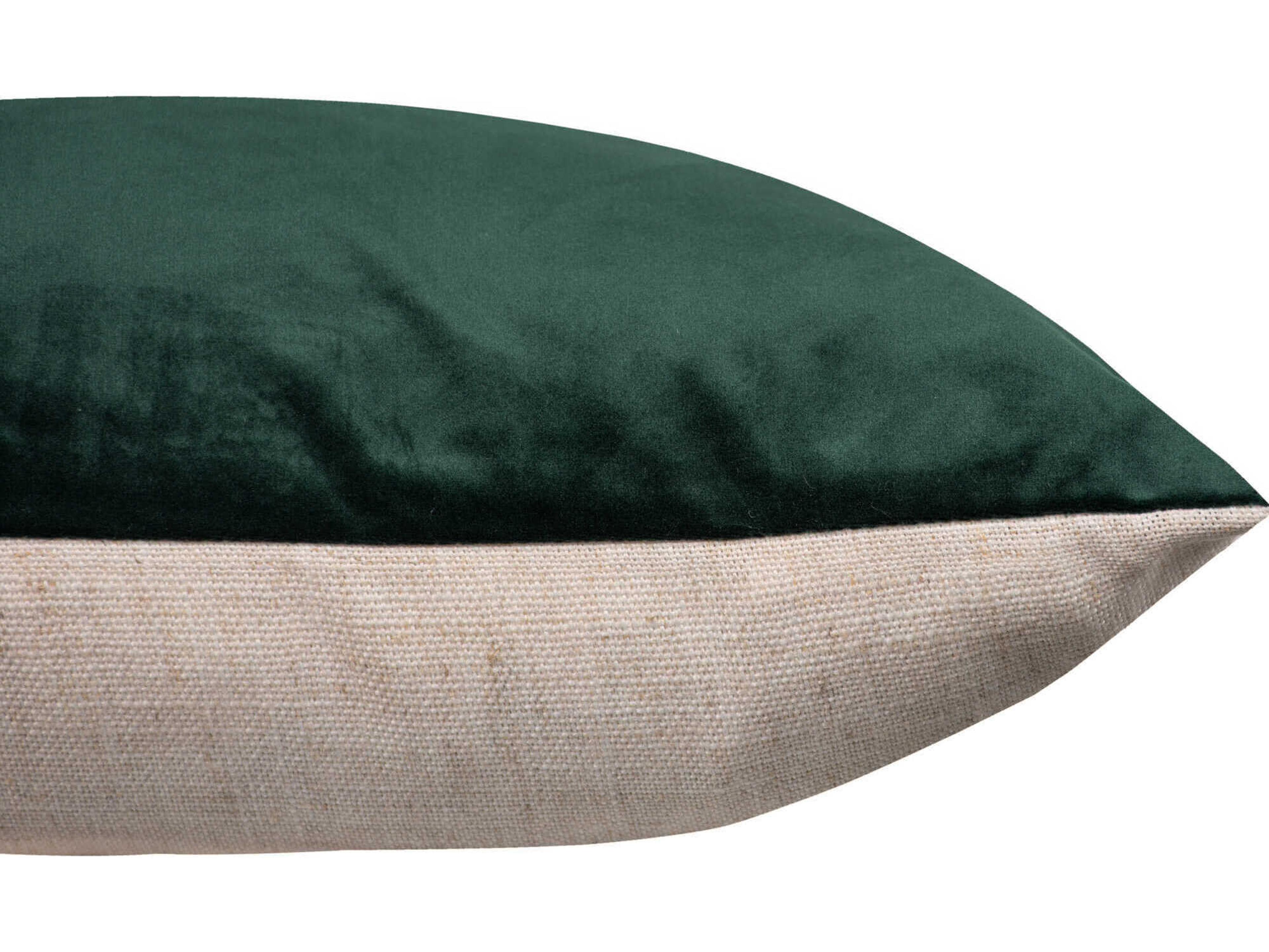Renwil Olive Indoor Pillow