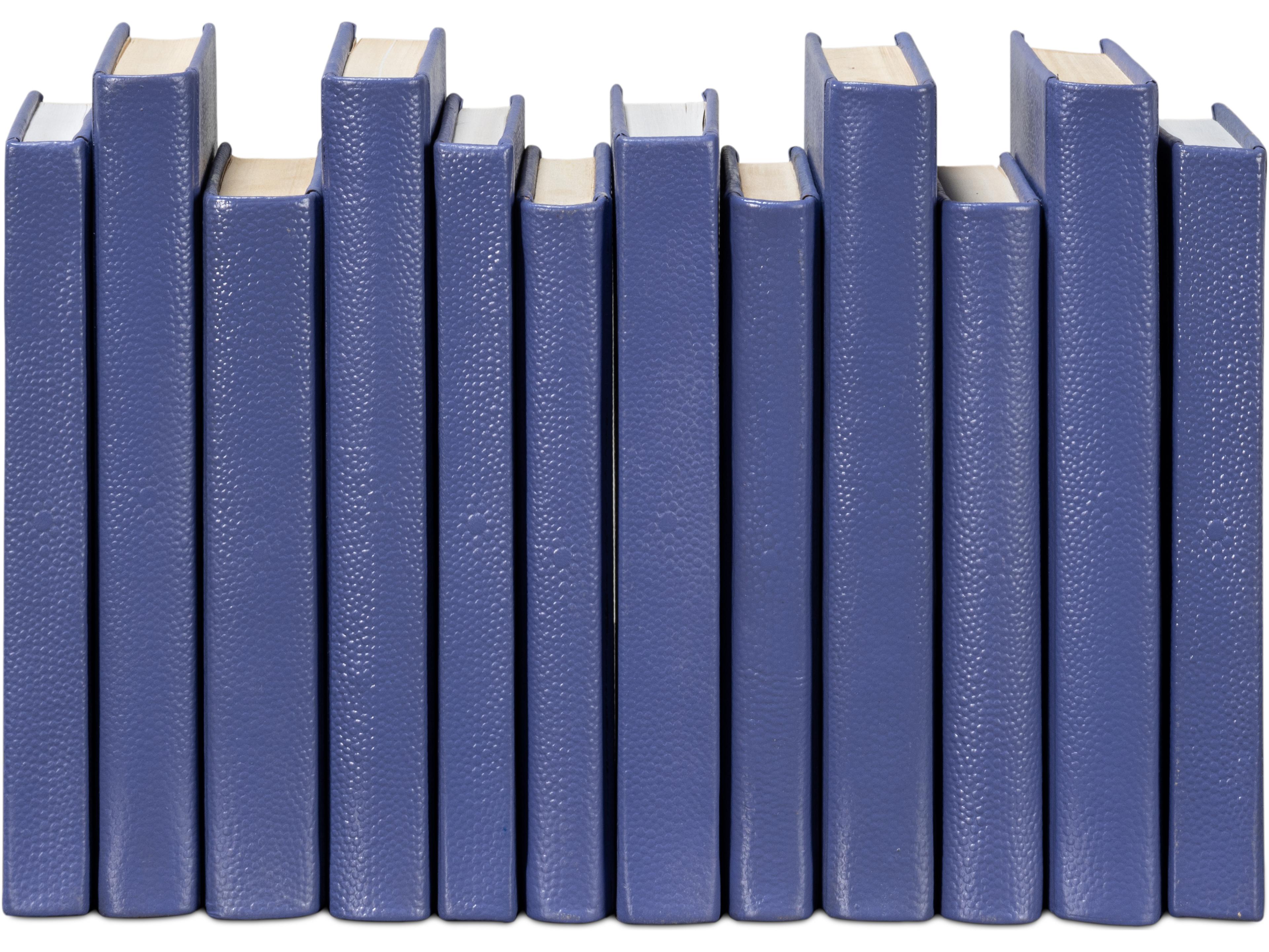 Sarreid Ltd Shagreen Books Set of 12 Marlin