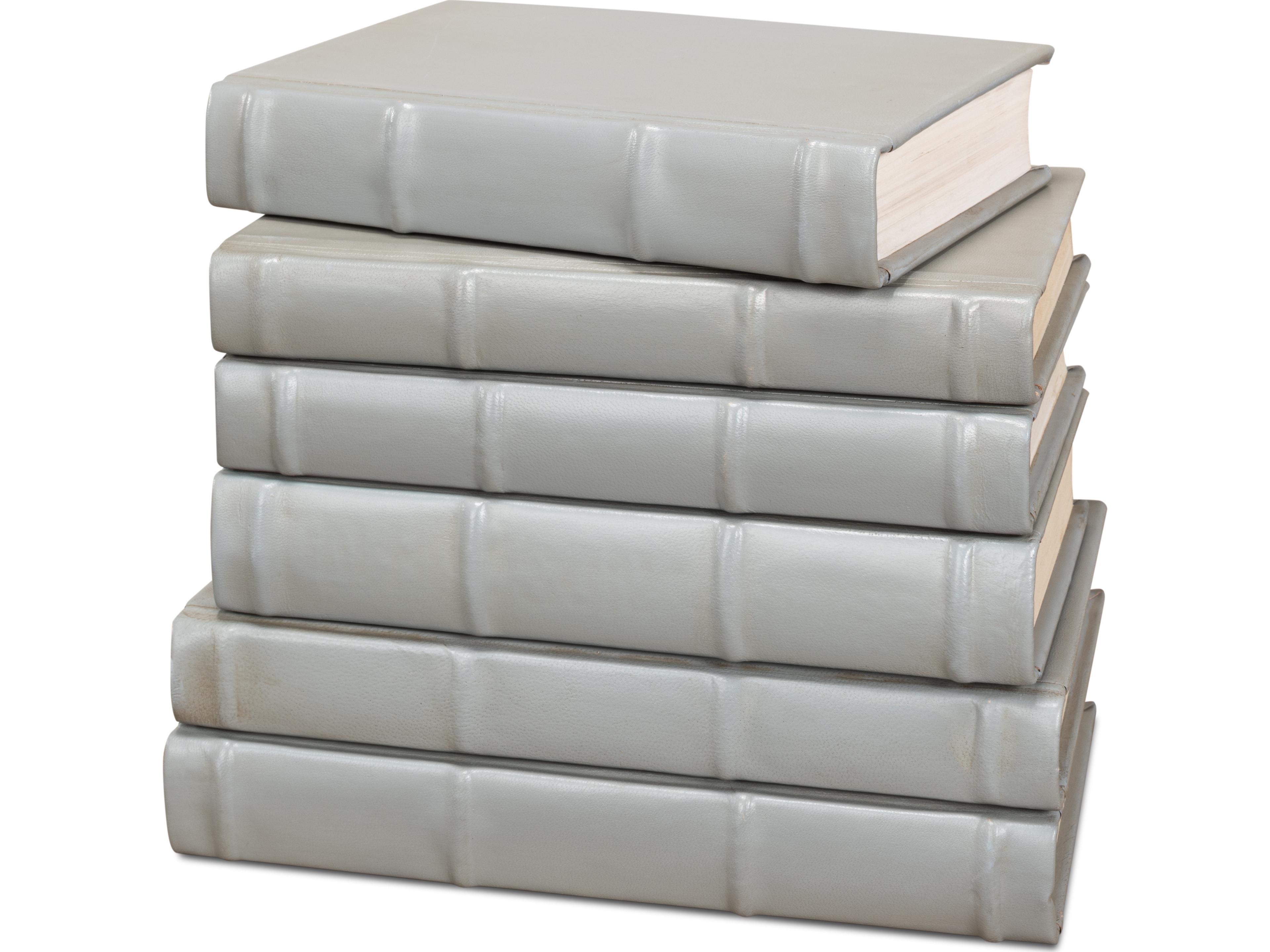 Sarreid Ltd Books Set of 12 Antique Grey